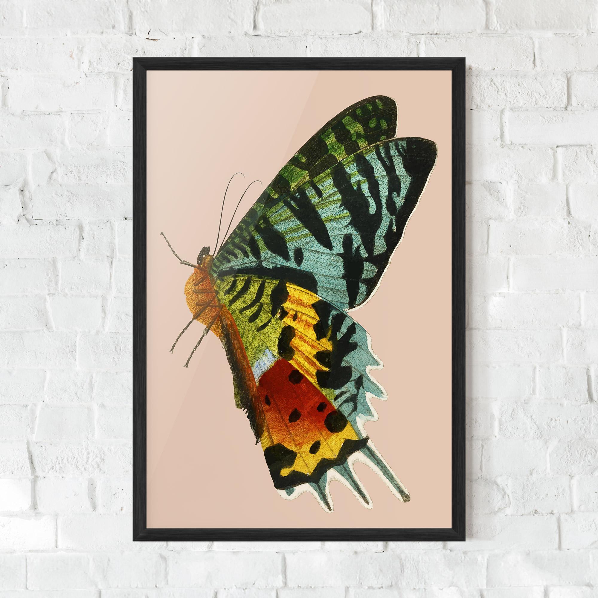 Gerahmte Poster Butterfly On Pink mockup 0