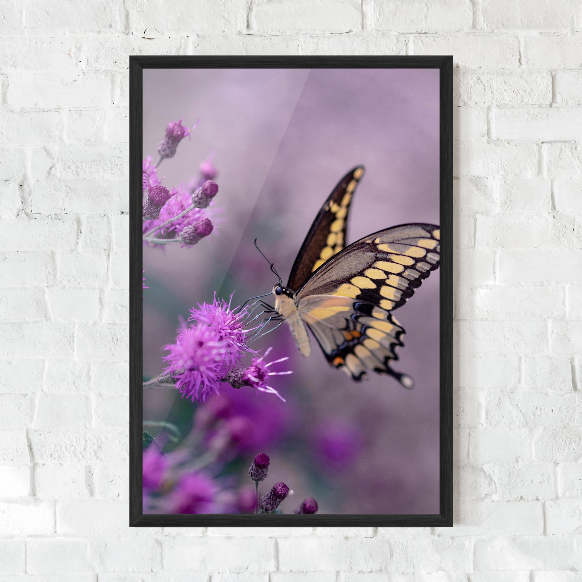Gerahmte Poster Cream Black Butterfly mockup 0