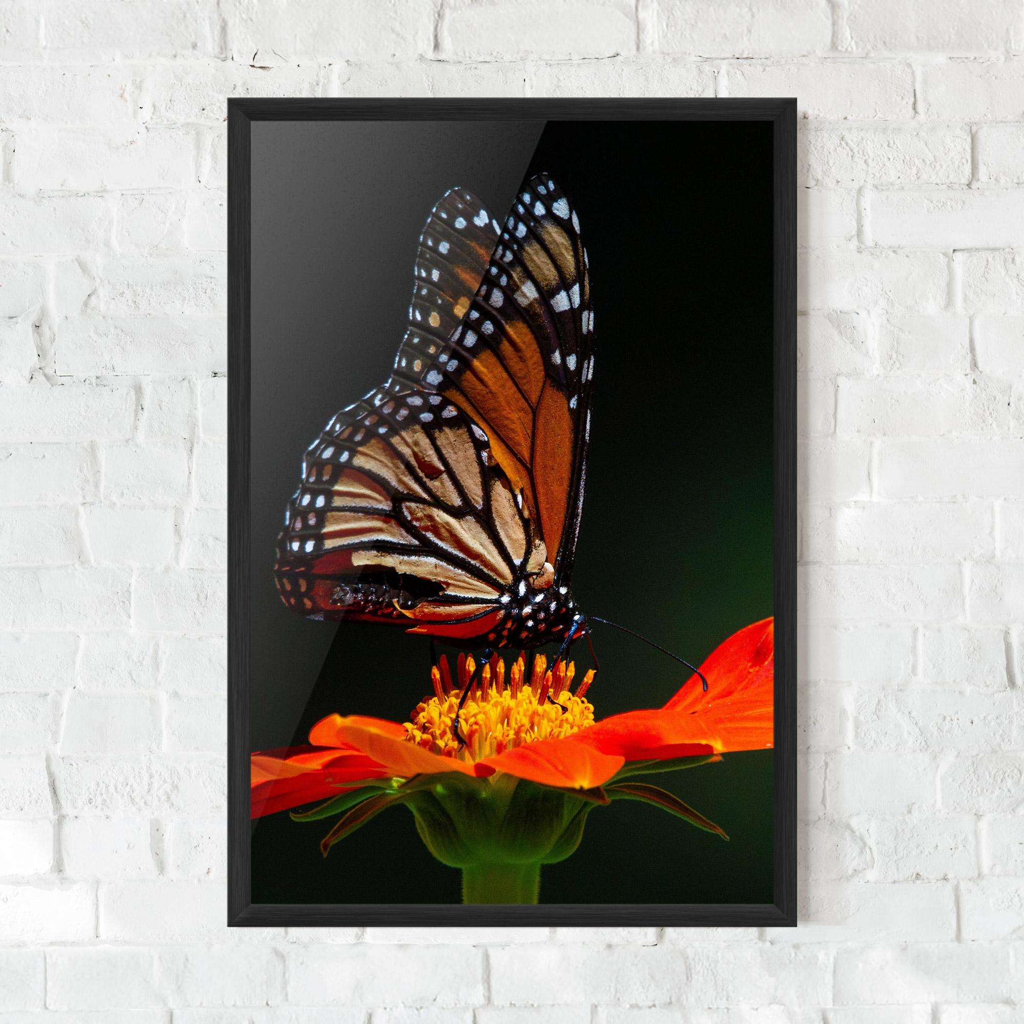 Gerahmte Poster Dark Orange Butterfy mockup 0