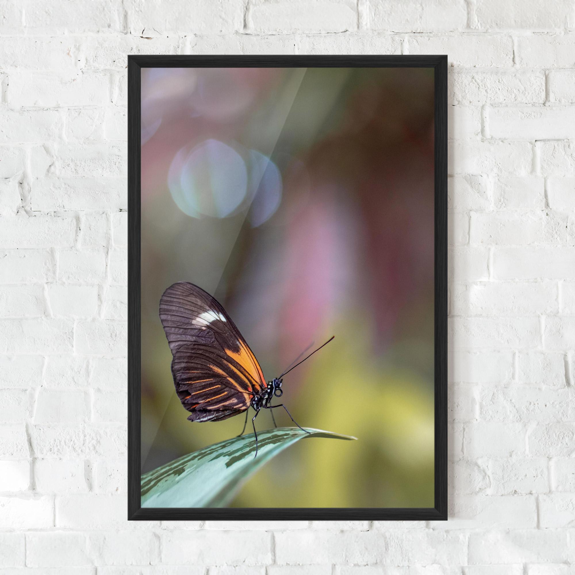 Gerahmte Poster Dark Purple Butterfly mockup 0