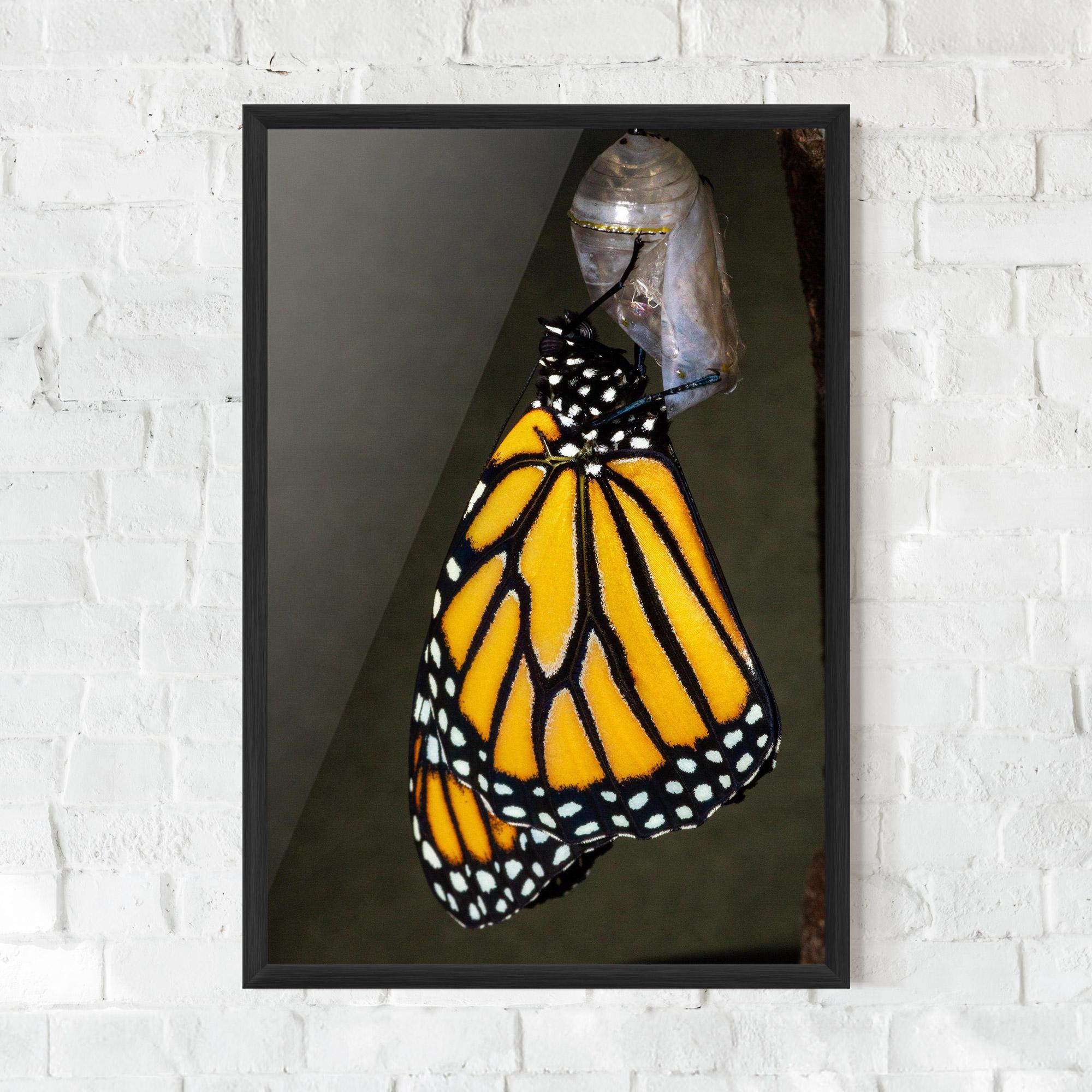 Gerahmte Poster Dark Yellow Butterfly mockup 0
