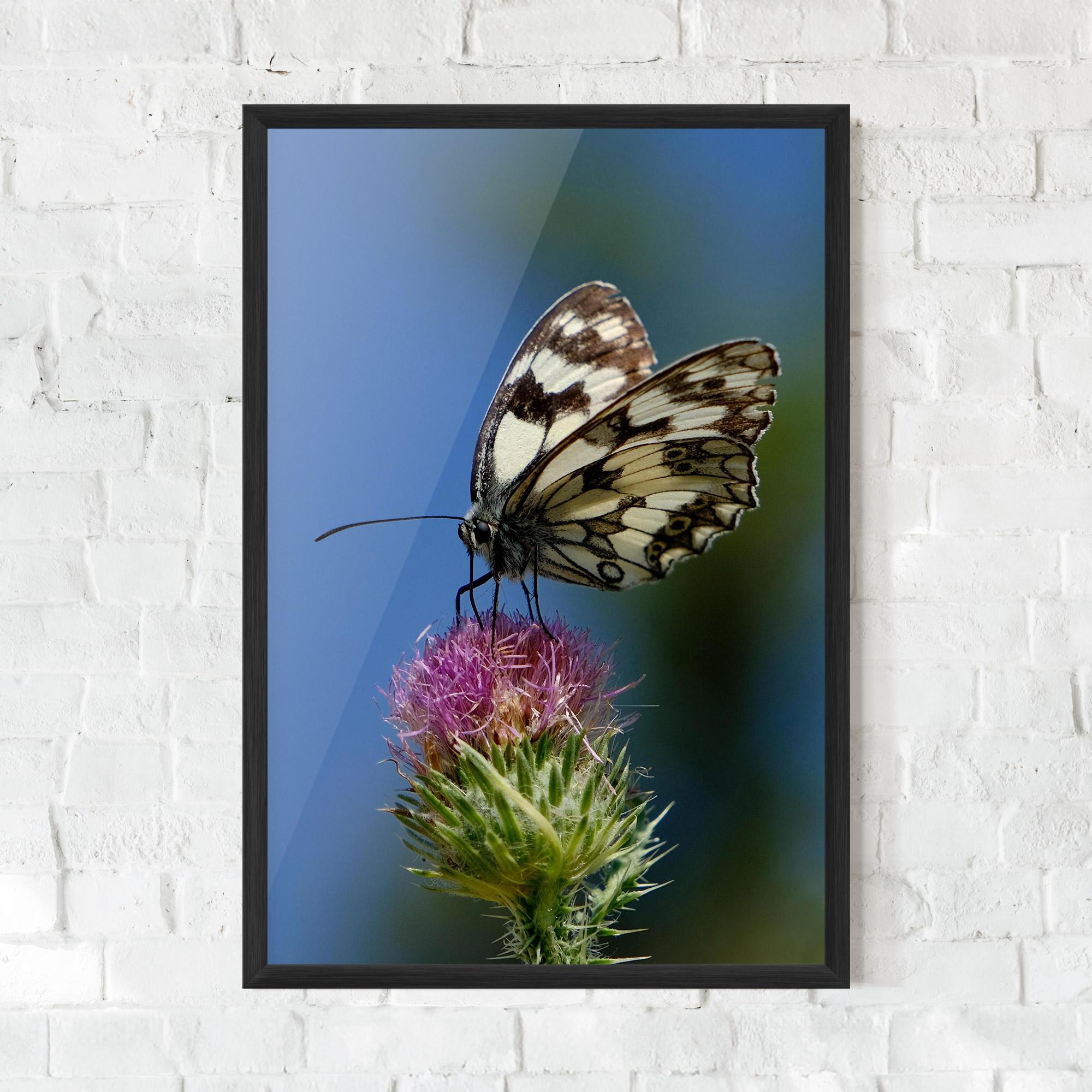 Gerahmte Poster Grey White Butterfly mockup 0