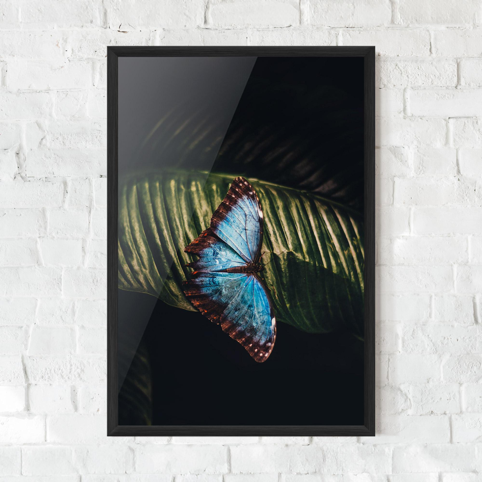 Gerahmte Poster Light Blue Butterfly mockup 0
