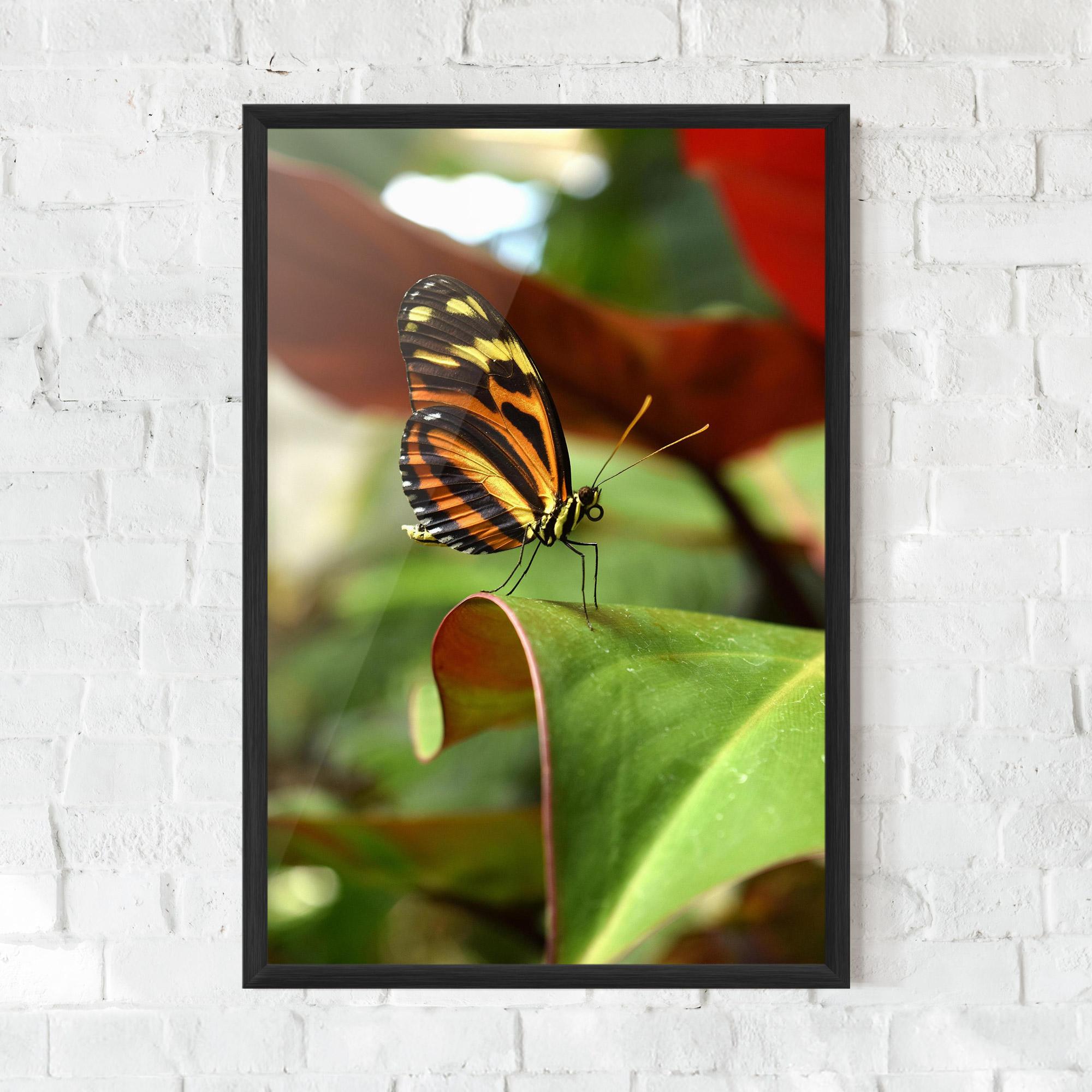 Gerahmte Poster Orange Yellow Butterfly mockup 0