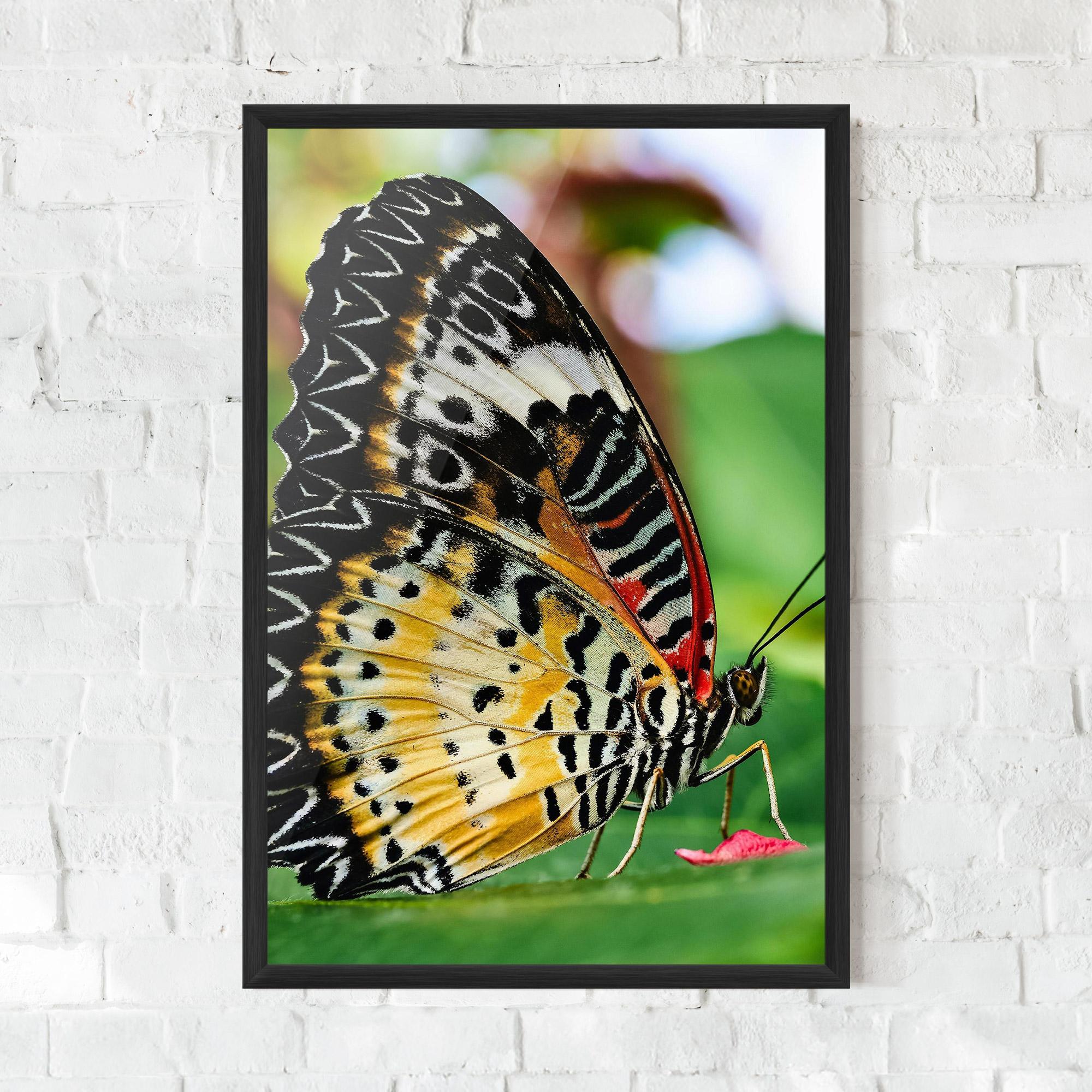 Gerahmte Poster Pretty Colorful Butterfly mockup 0