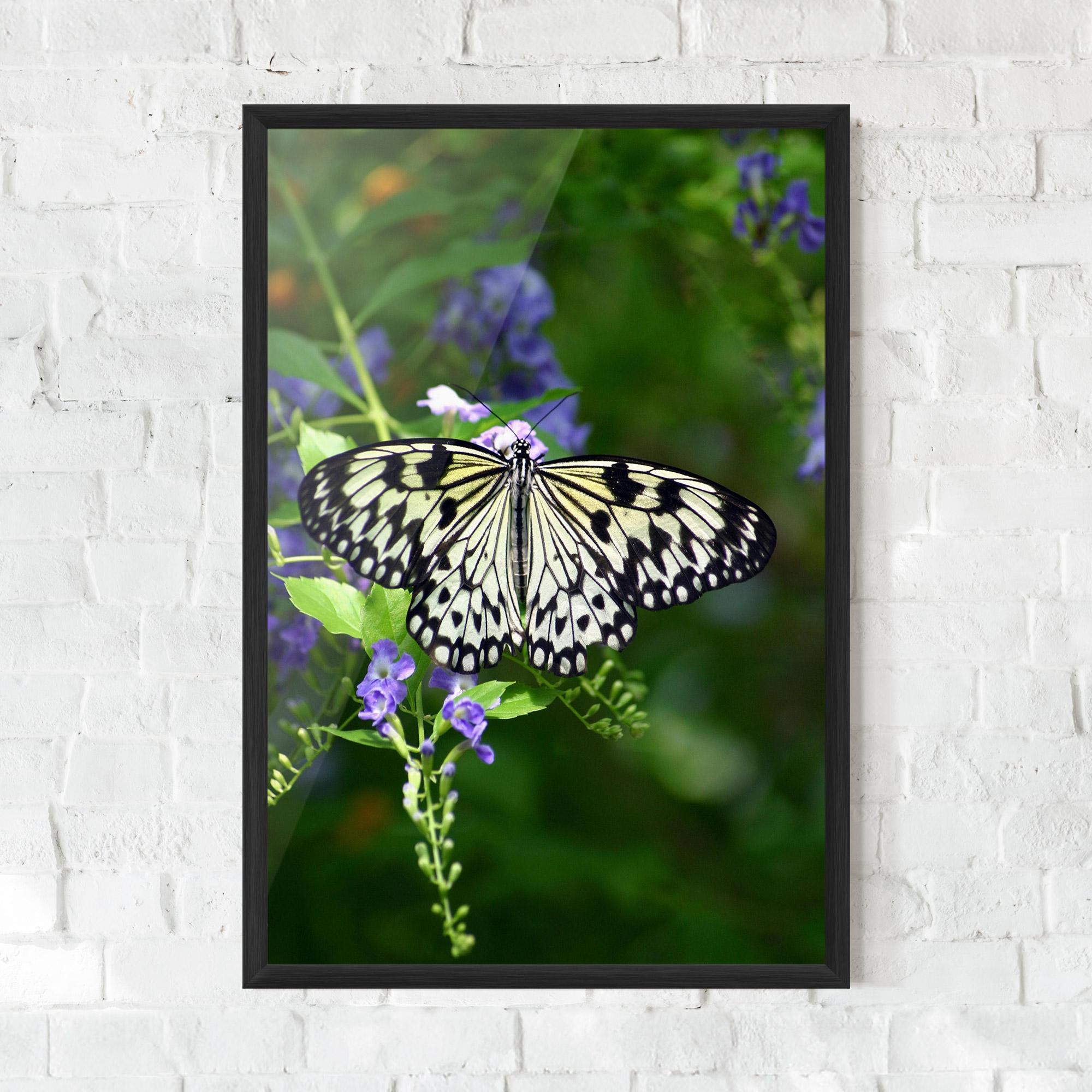 Gerahmte Poster Pretty White Butterfly mockup 0
