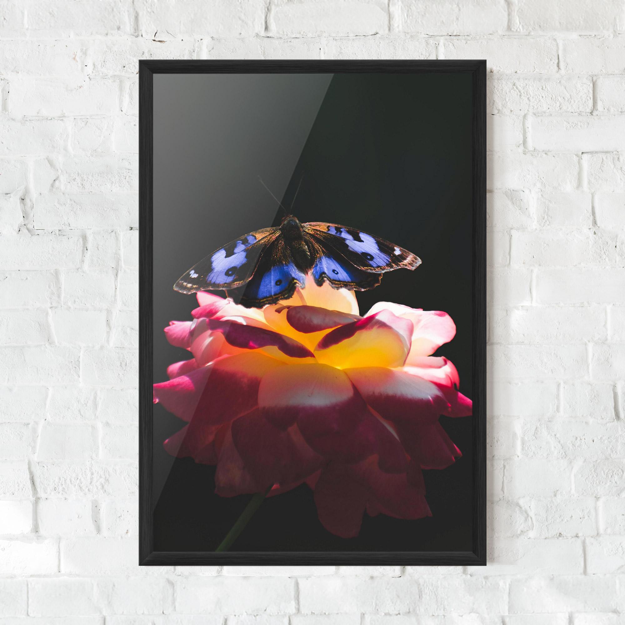 Gerahmte Poster Rose Butterfly mockup 0