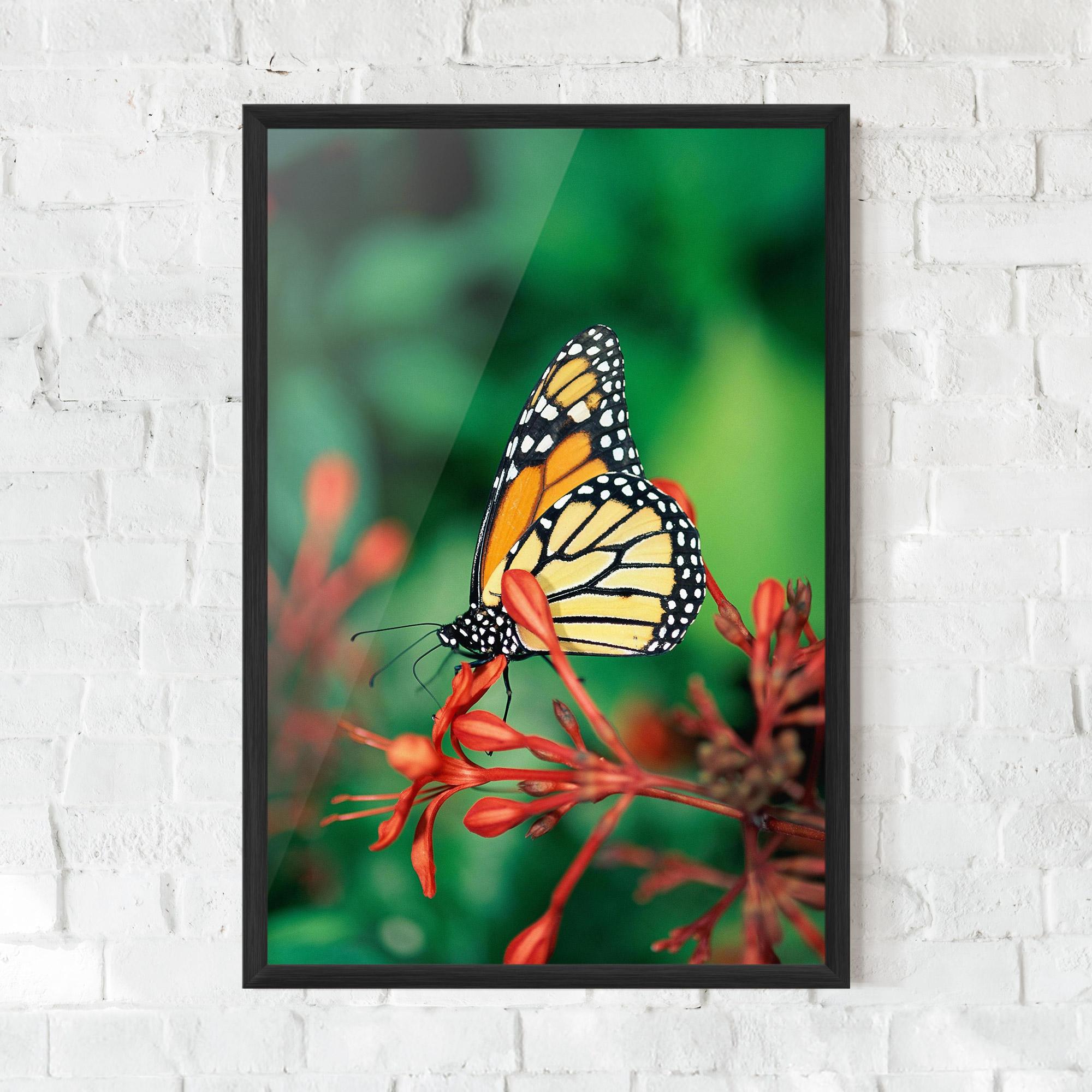 Gerahmte Poster Small Orange Butterfly mockup 0
