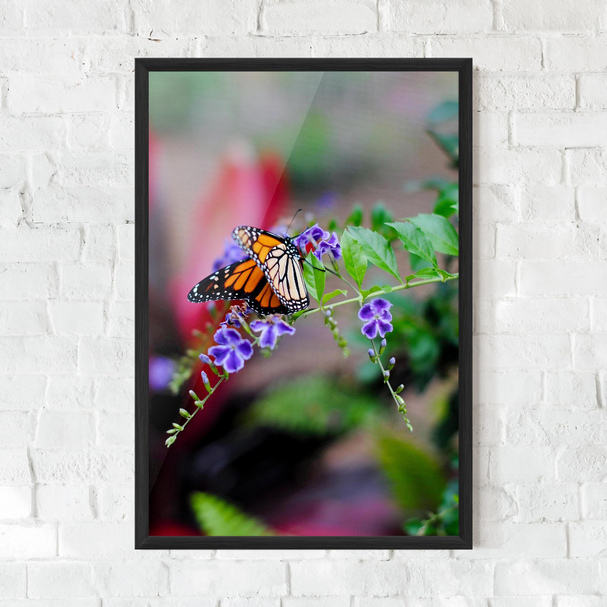 Gerahmte Poster Strong Orange Butterfly mockup 0