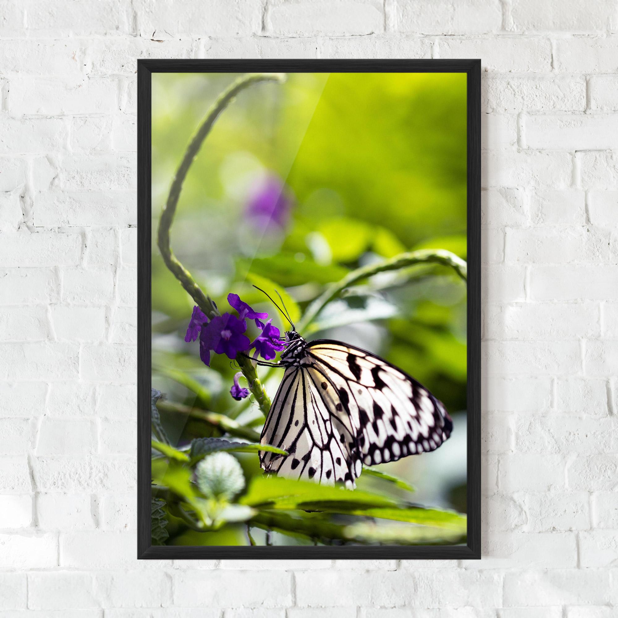 Gerahmte Poster White Black Butterfly mockup 0