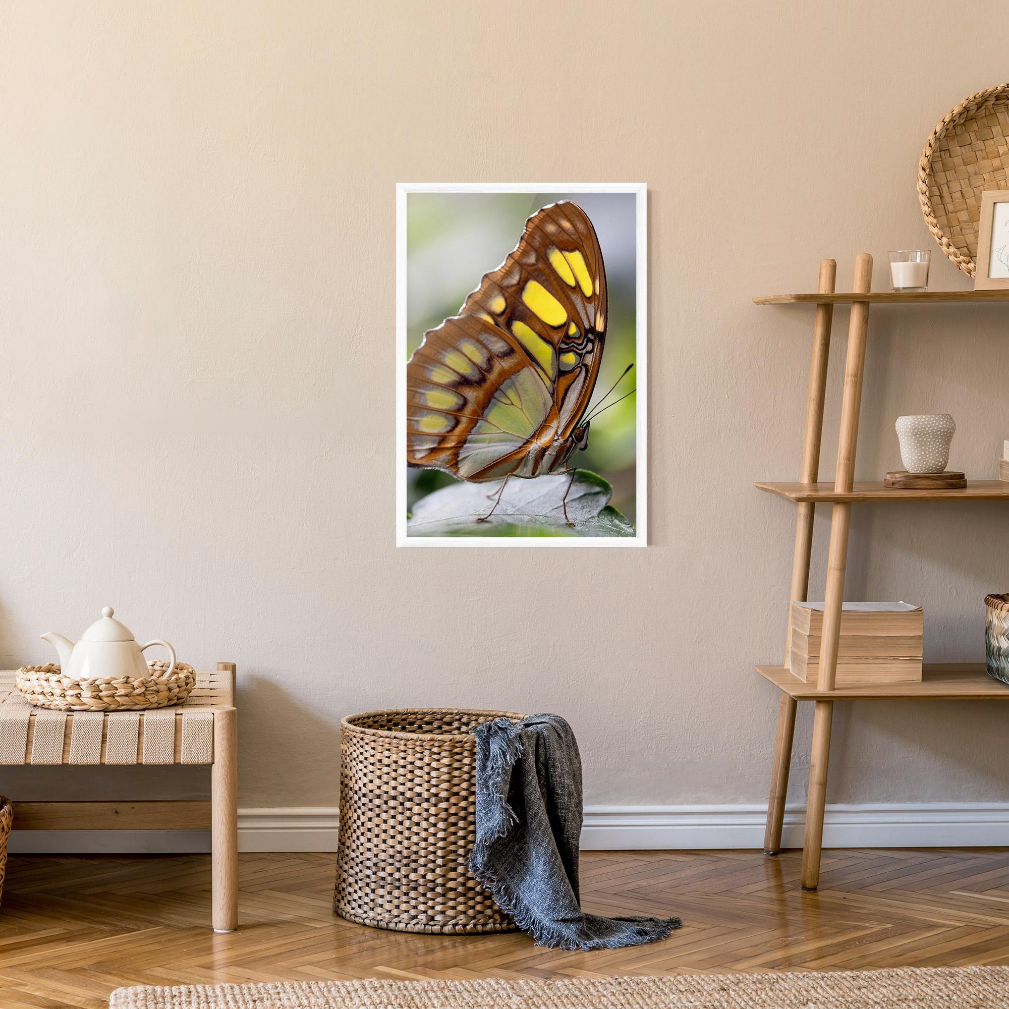 Gerahmte Poster Brown Yellow Butterfly mockup 9