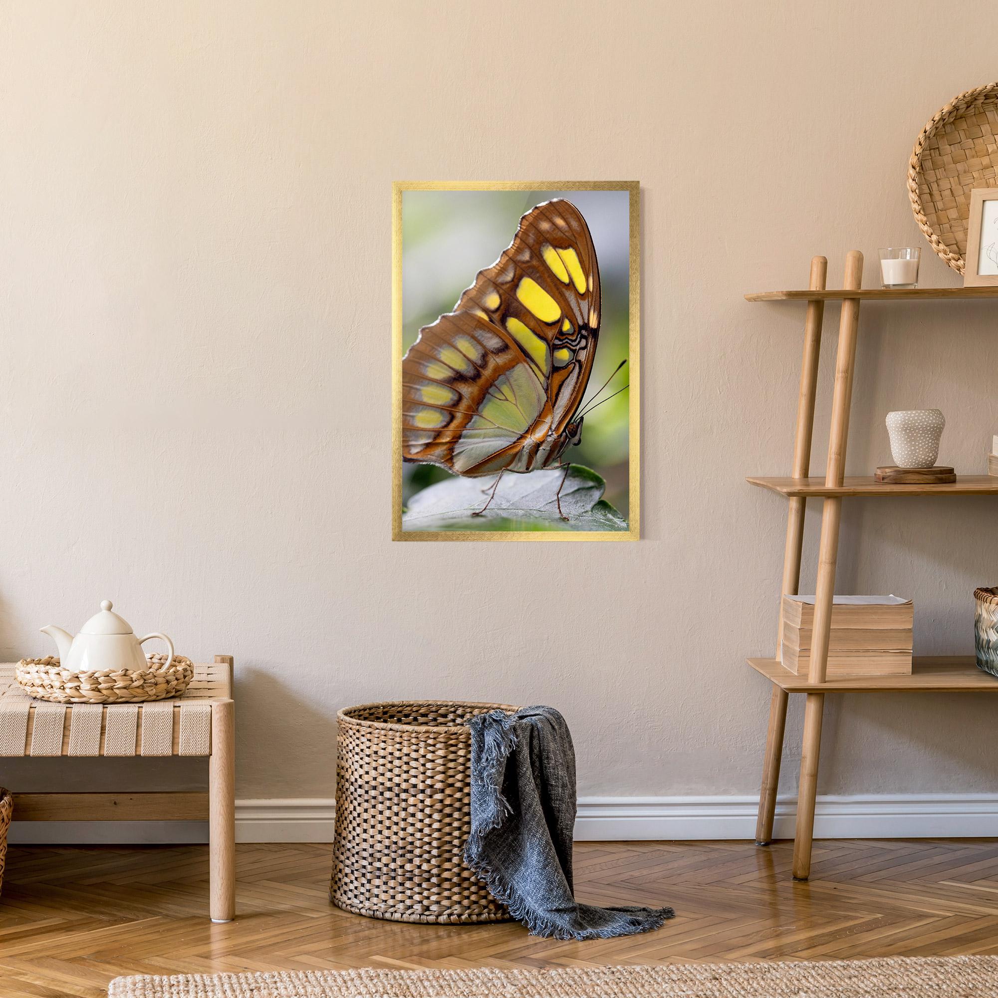 Gerahmte Poster Brown Yellow Butterfly mockup 9