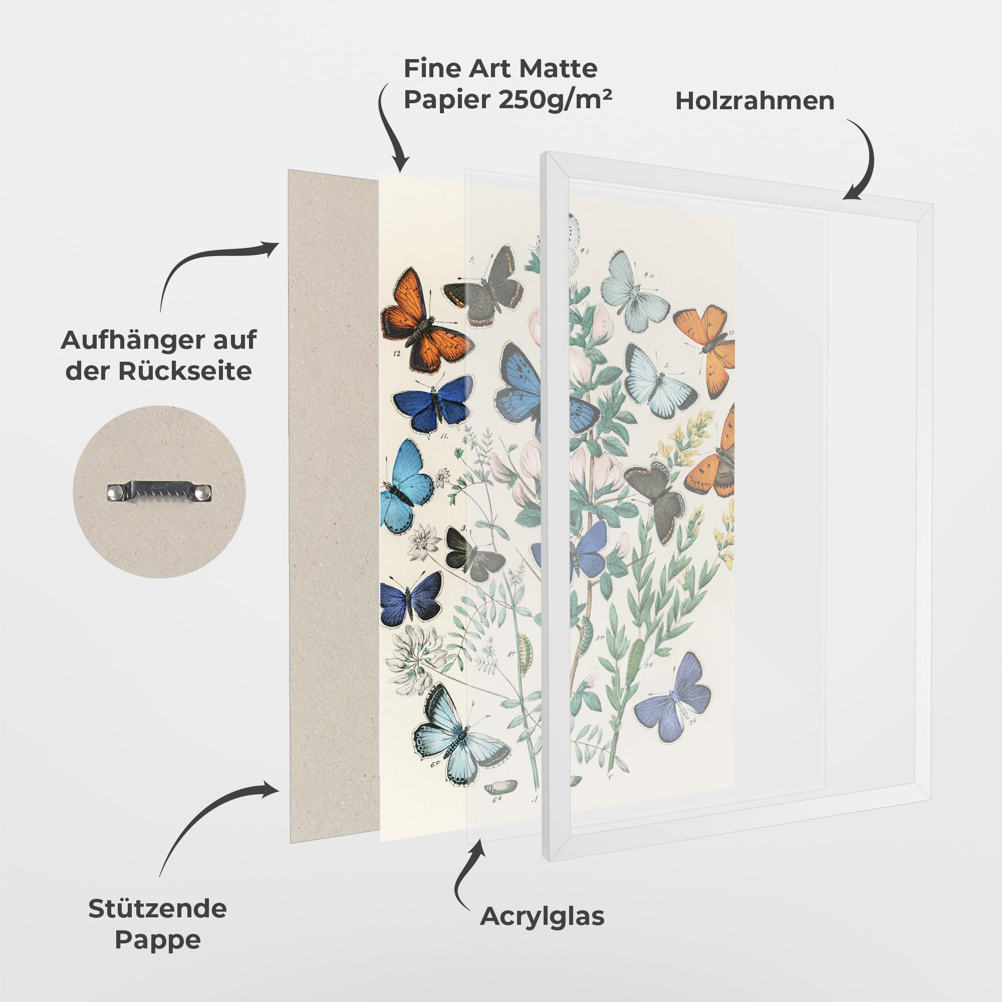 Gerahmte Poster Blue Orange Butterflies mockup 1