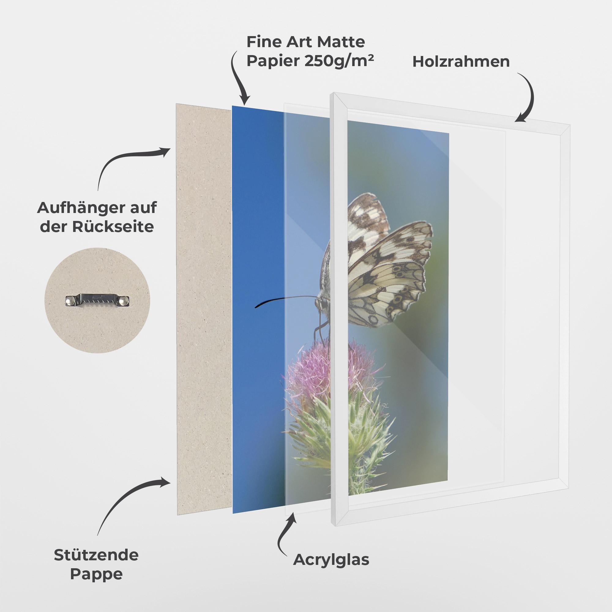 Gerahmte Poster Grey White Butterfly mockup 1