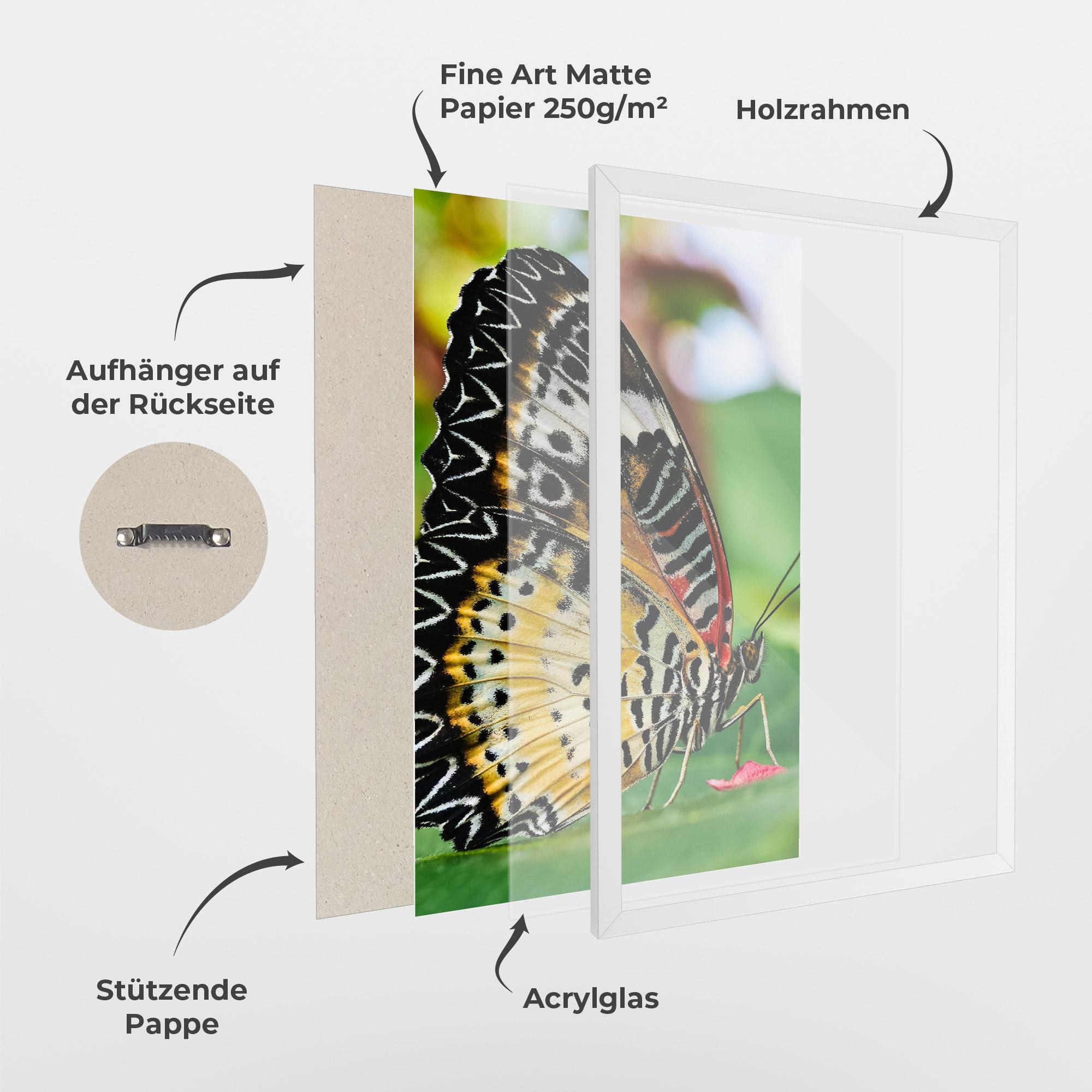 Gerahmte Poster Pretty Colorful Butterfly mockup 1