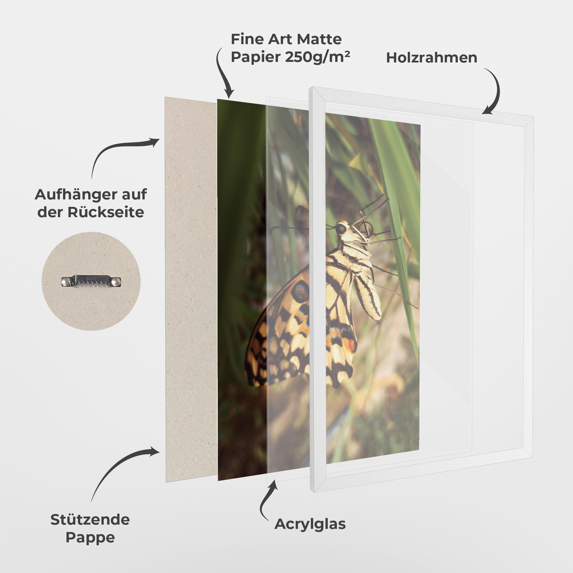 Gerahmte Poster Wild Brown Butterfly mockup 1