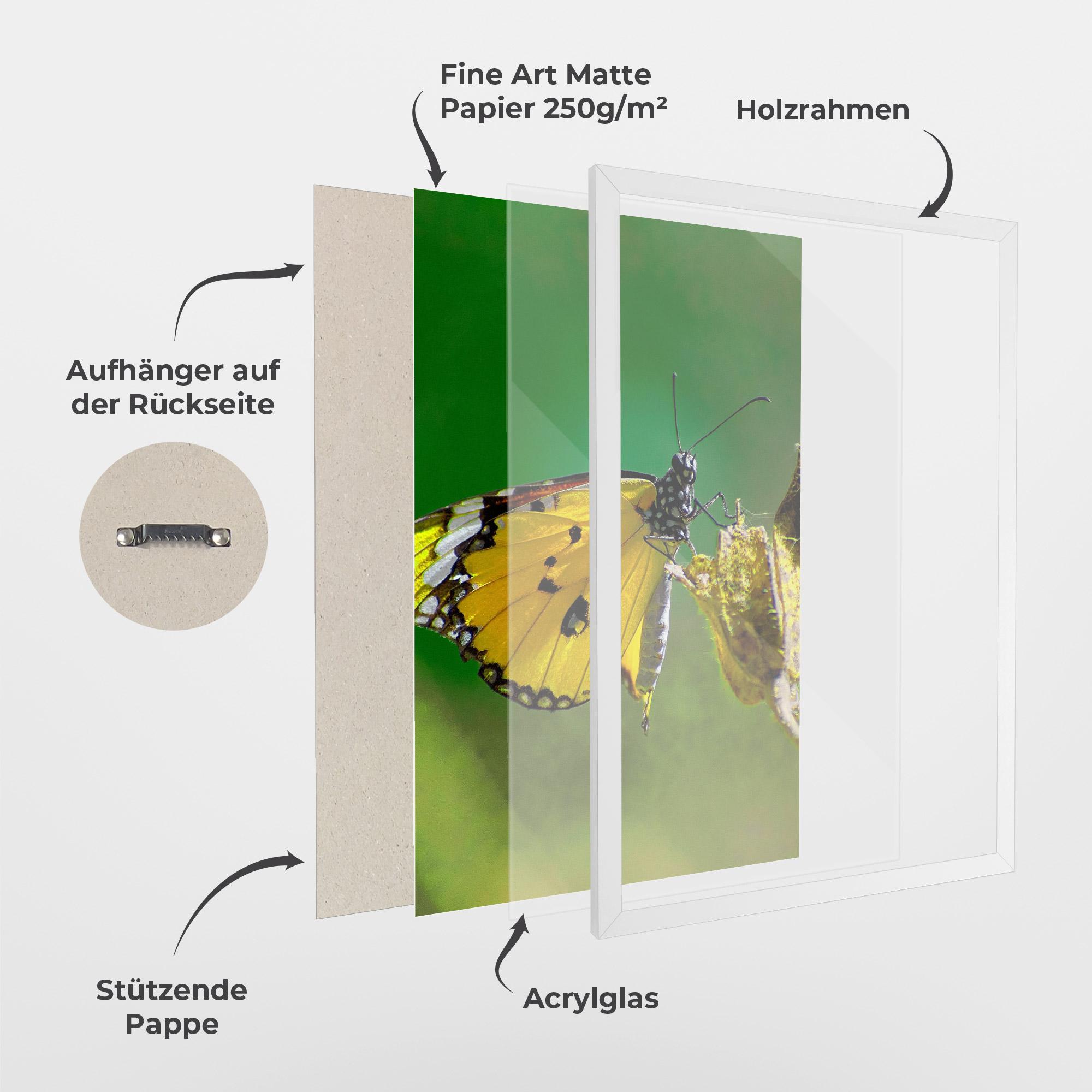 Gerahmte Poster Yellow White Butterfly mockup 1