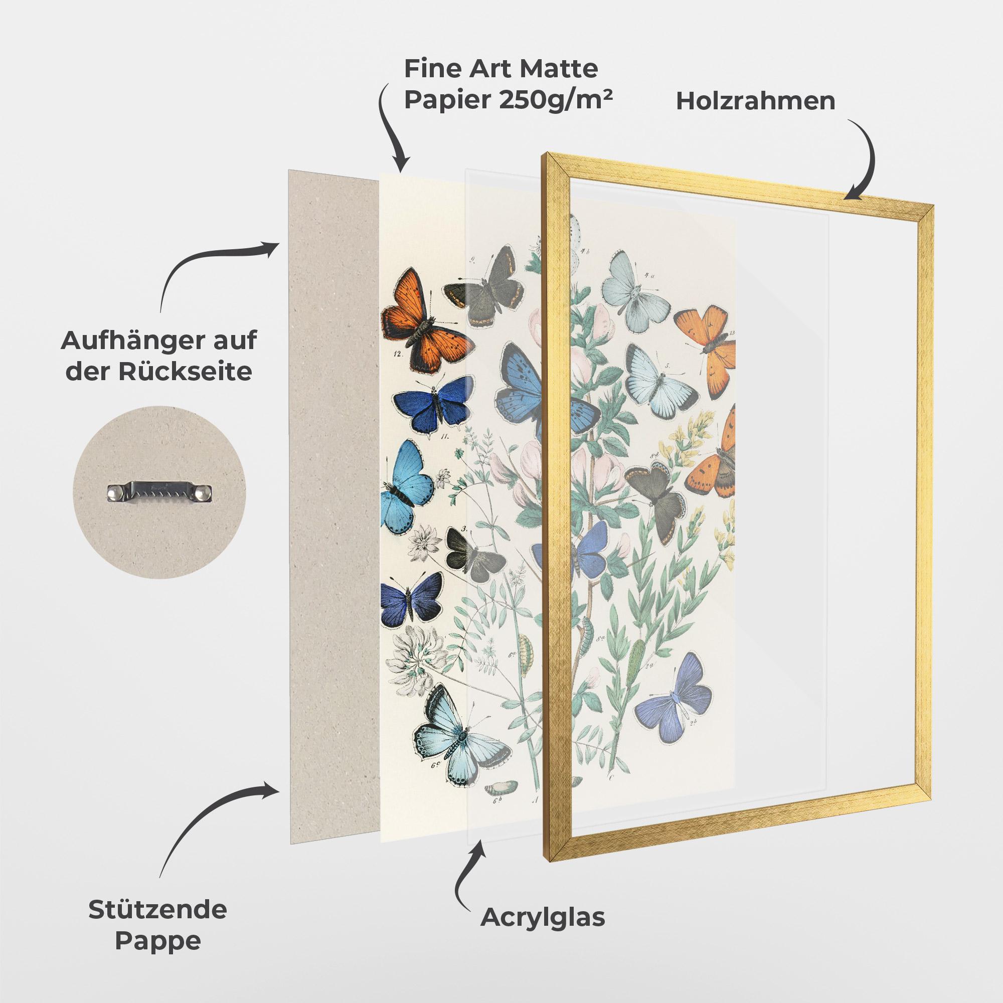 Gerahmte Poster Blue Orange Butterflies mockup 1