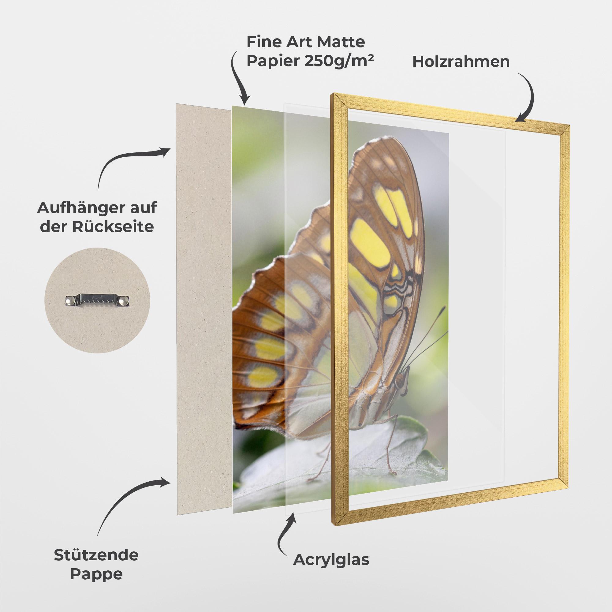 Gerahmte Poster Brown Yellow Butterfly mockup 1