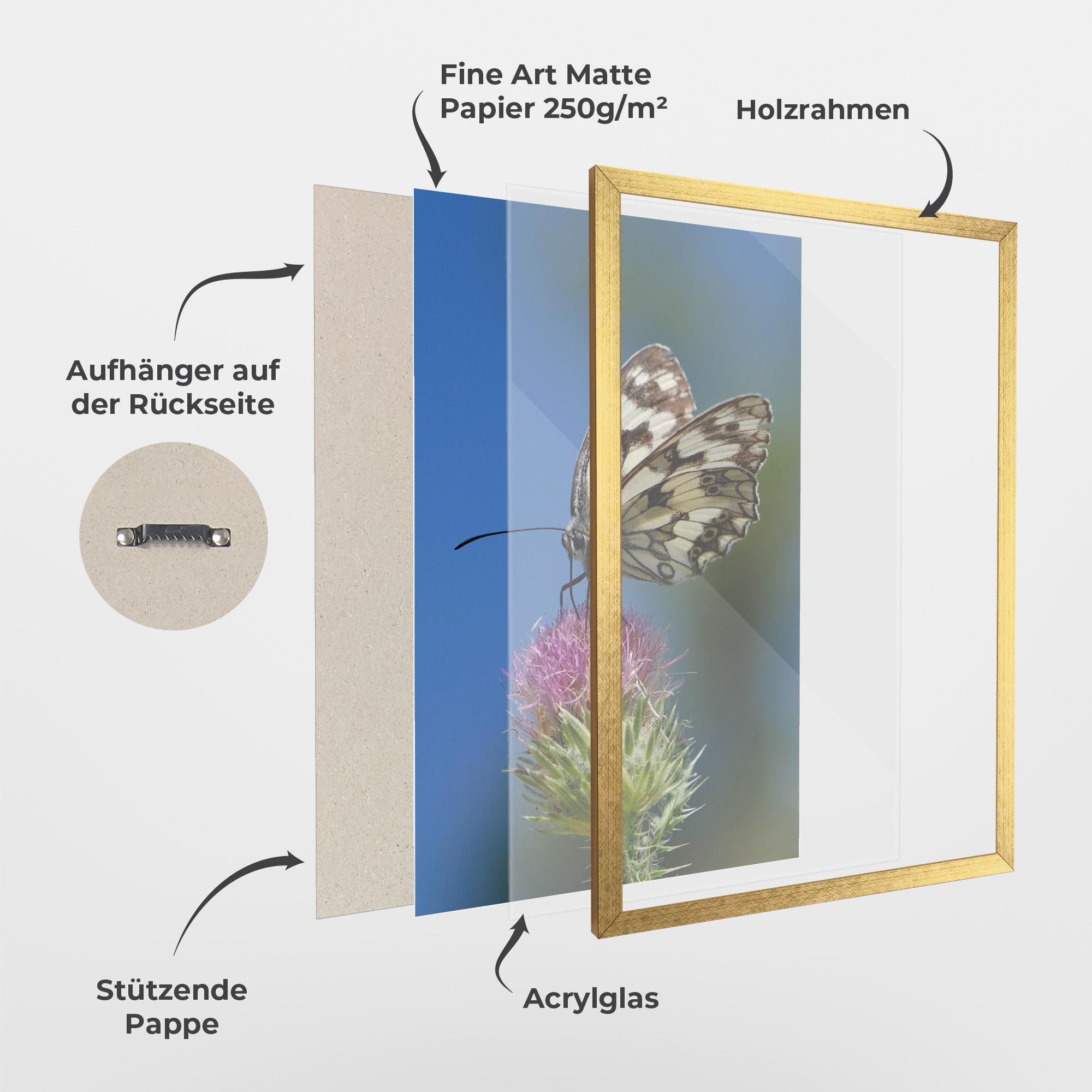 Gerahmte Poster Grey White Butterfly mockup 1