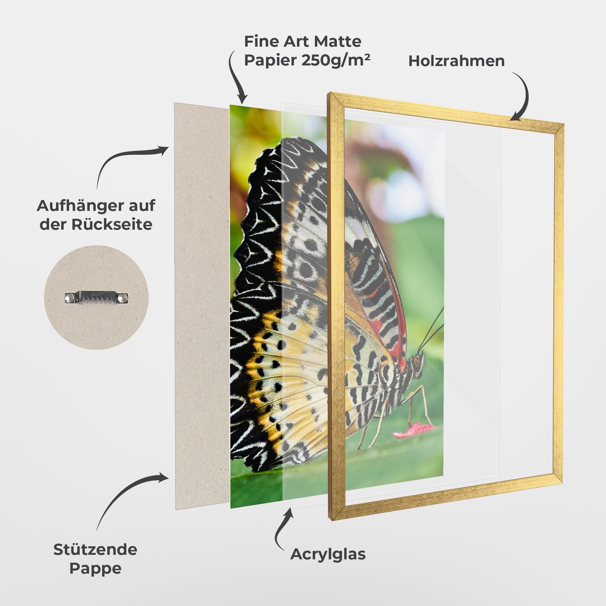 Gerahmte Poster Pretty Colorful Butterfly mockup 1