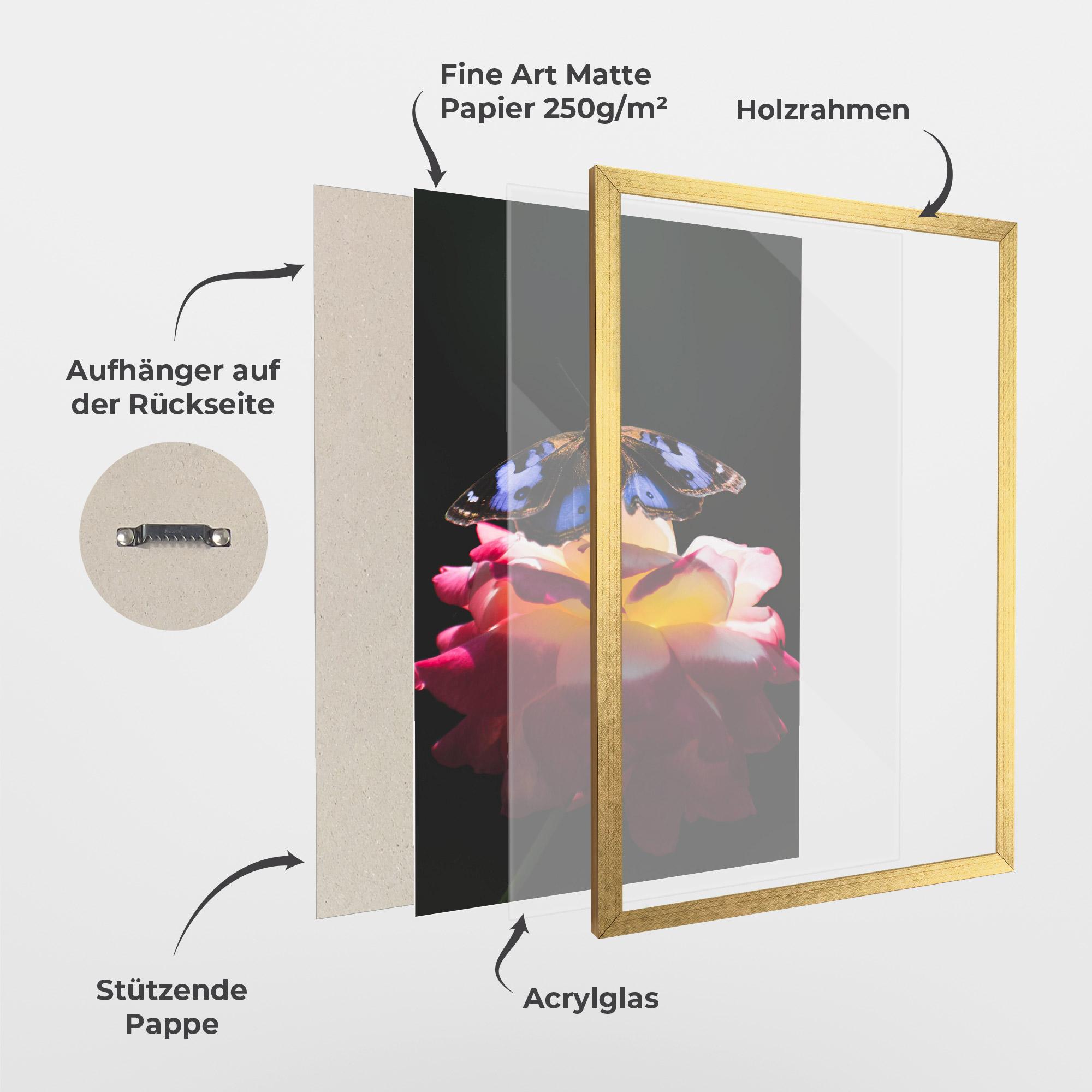Gerahmte Poster Rose Butterfly mockup 1