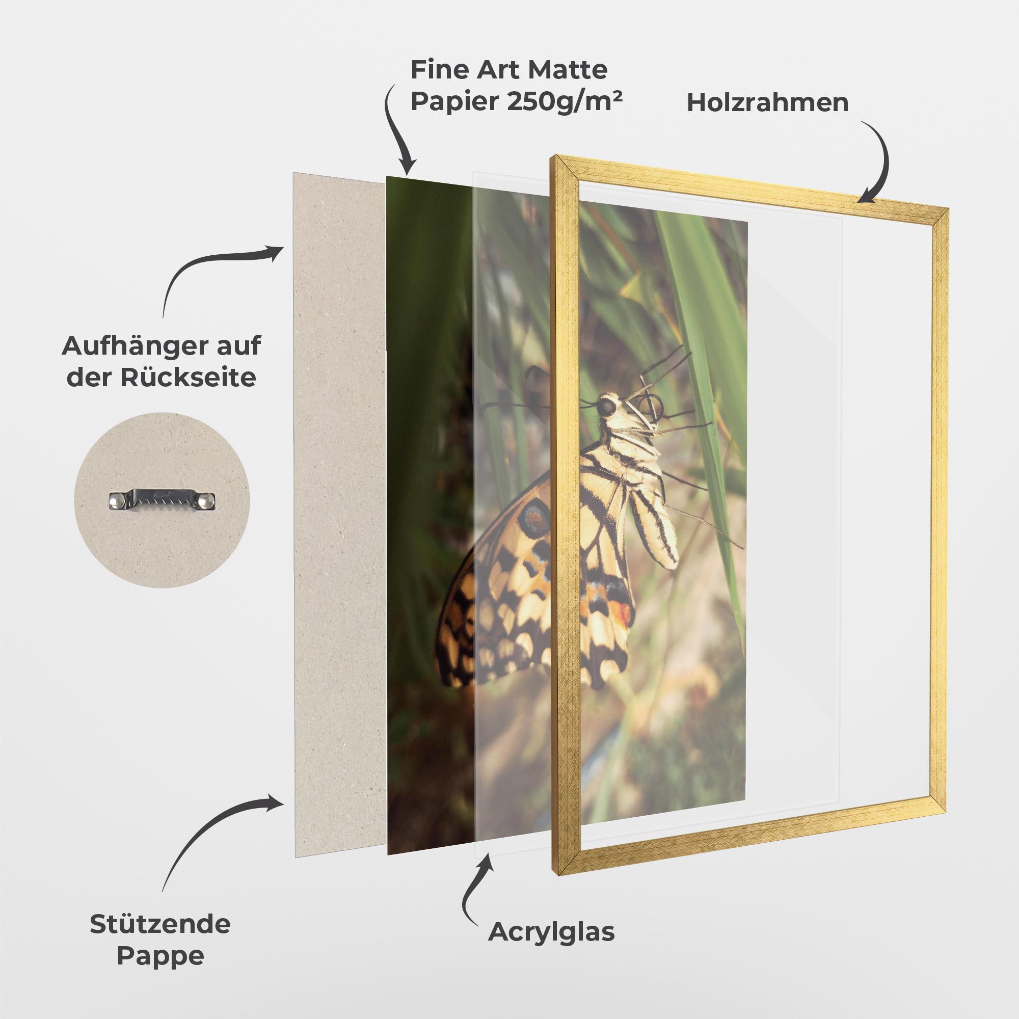 Gerahmte Poster Wild Brown Butterfly mockup 1