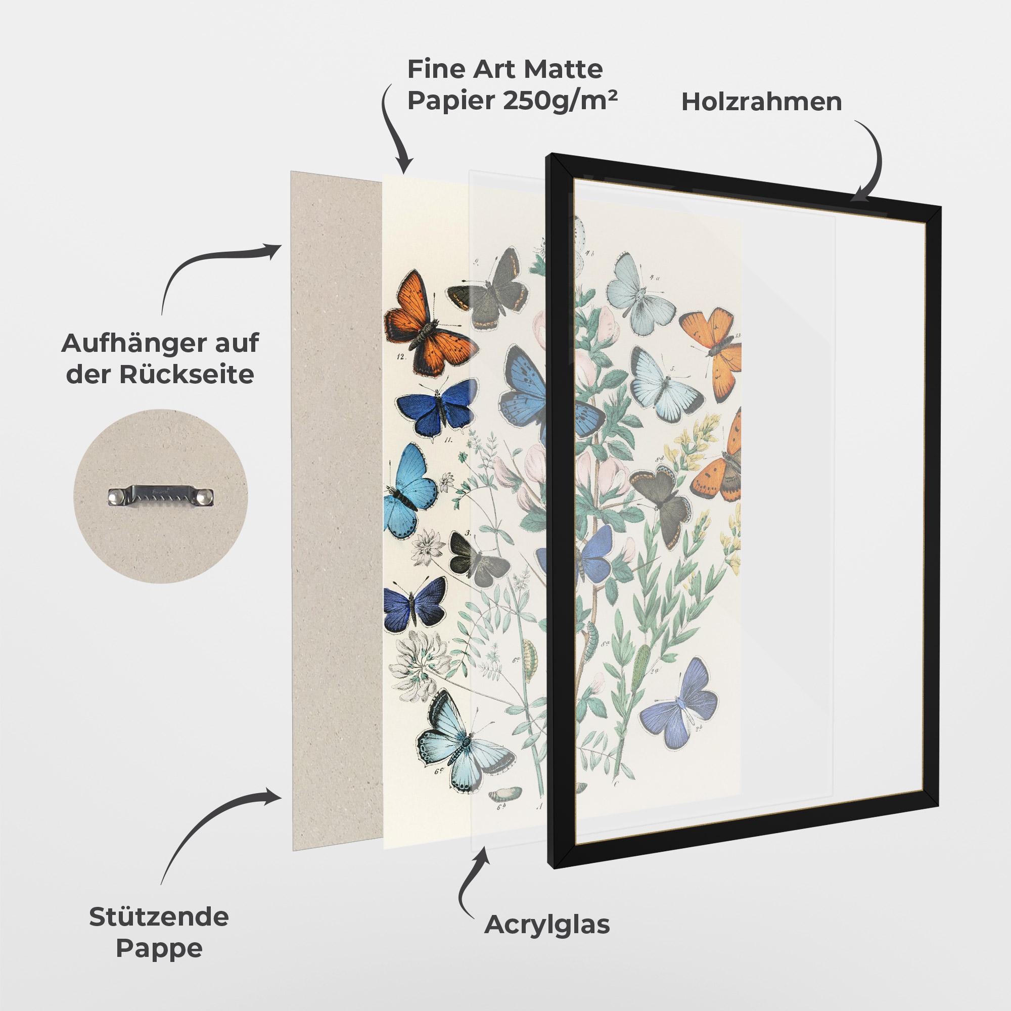 Gerahmte Poster Blue Orange Butterflies mockup 1