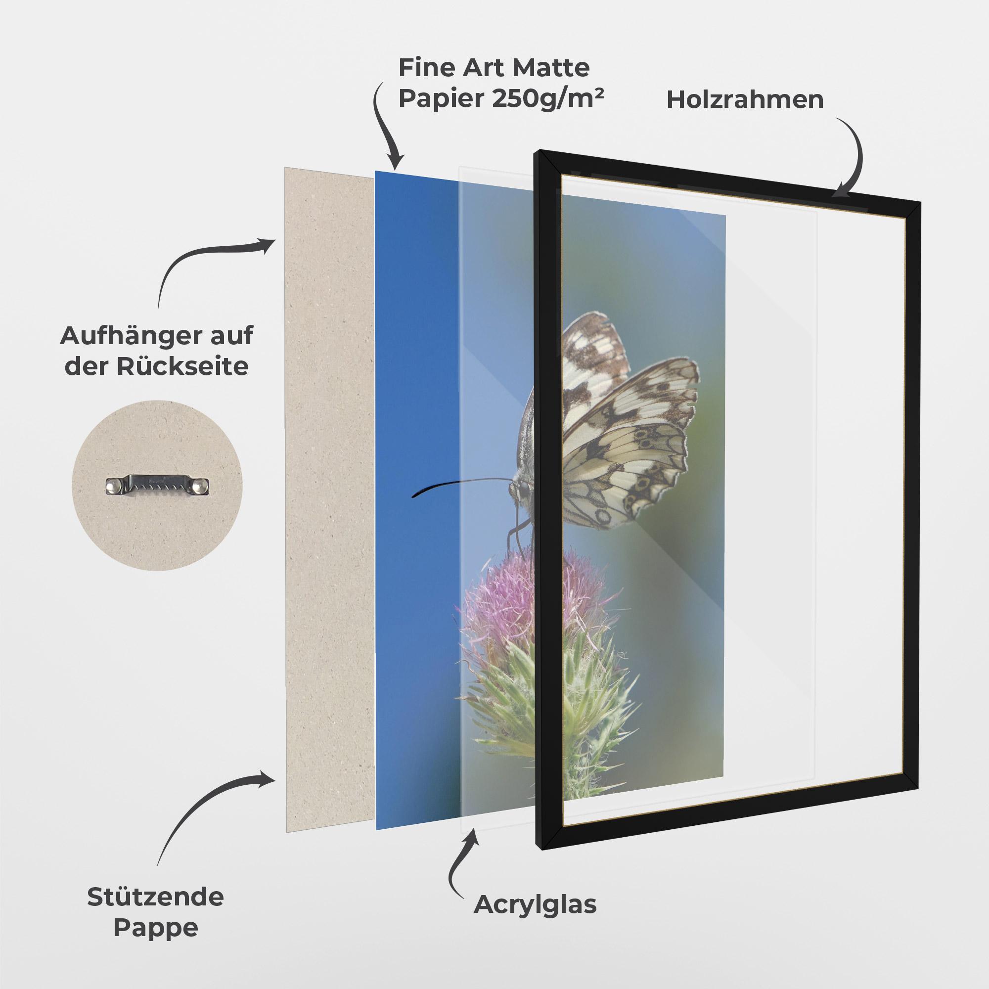 Gerahmte Poster Grey White Butterfly mockup 1