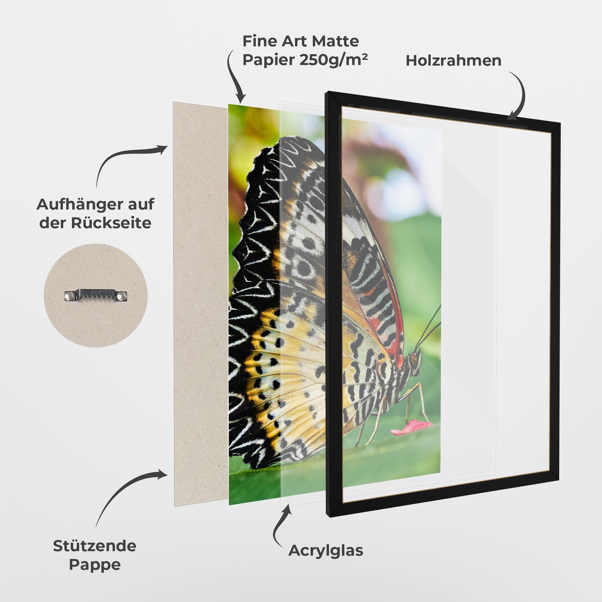 Gerahmte Poster Pretty Colorful Butterfly mockup 1