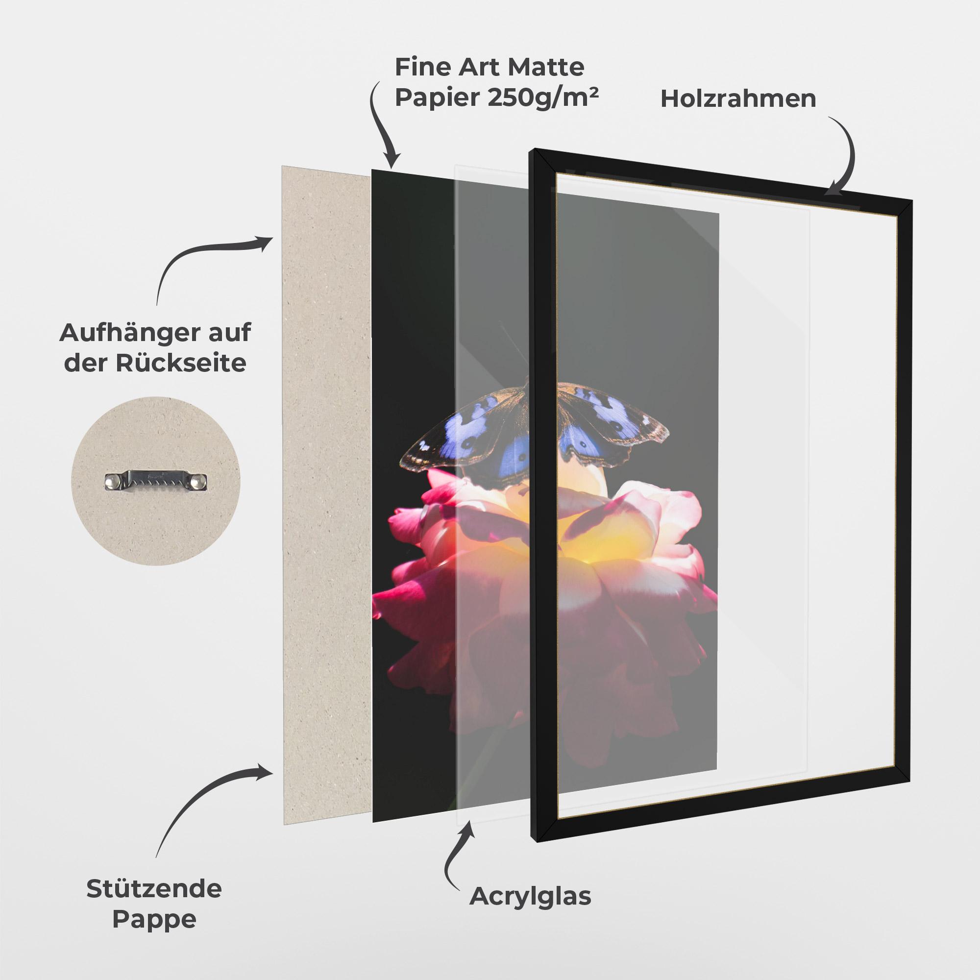 Gerahmte Poster Rose Butterfly mockup 1