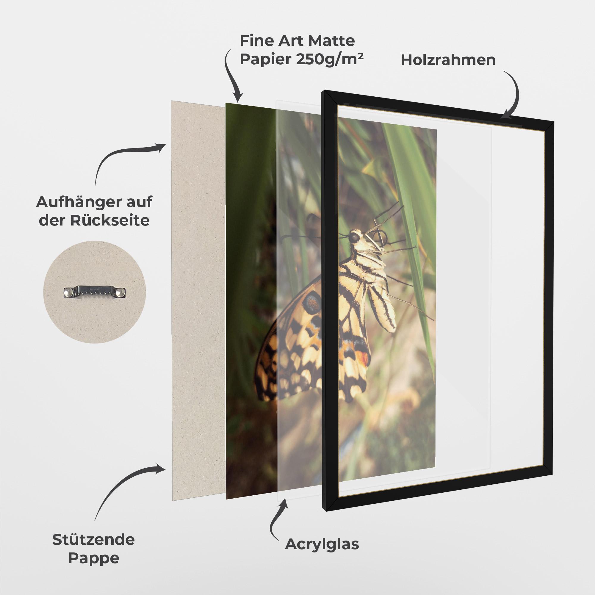 Gerahmte Poster Wild Brown Butterfly mockup 1