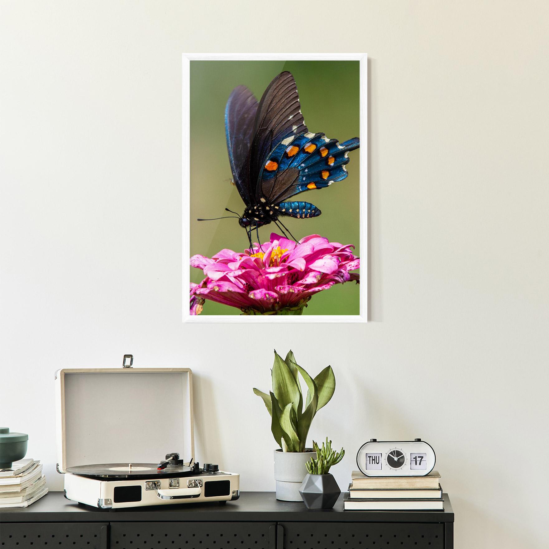 Gerahmte Poster Blue Grey Butterfly mockup 2