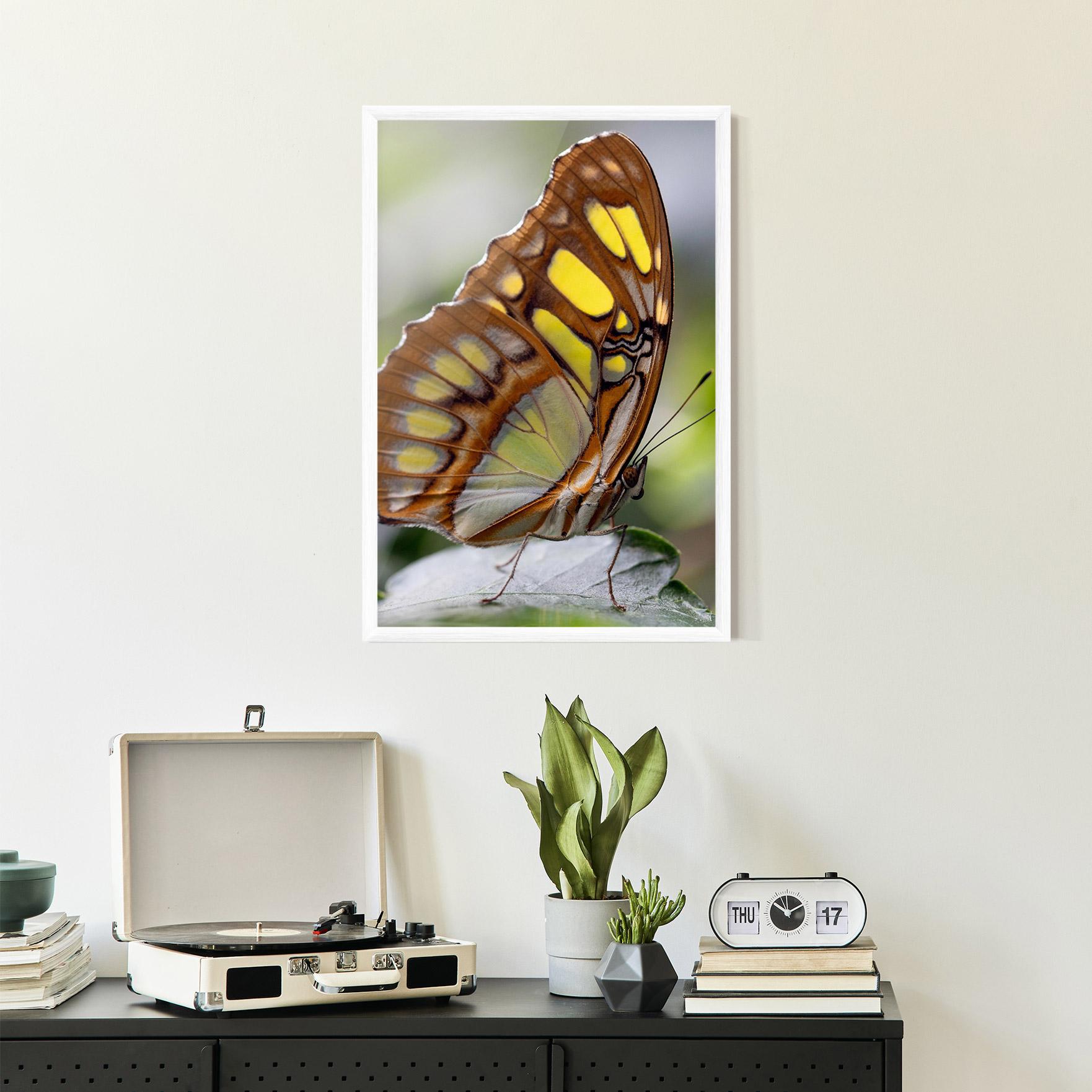 Gerahmte Poster Brown Yellow Butterfly mockup 2