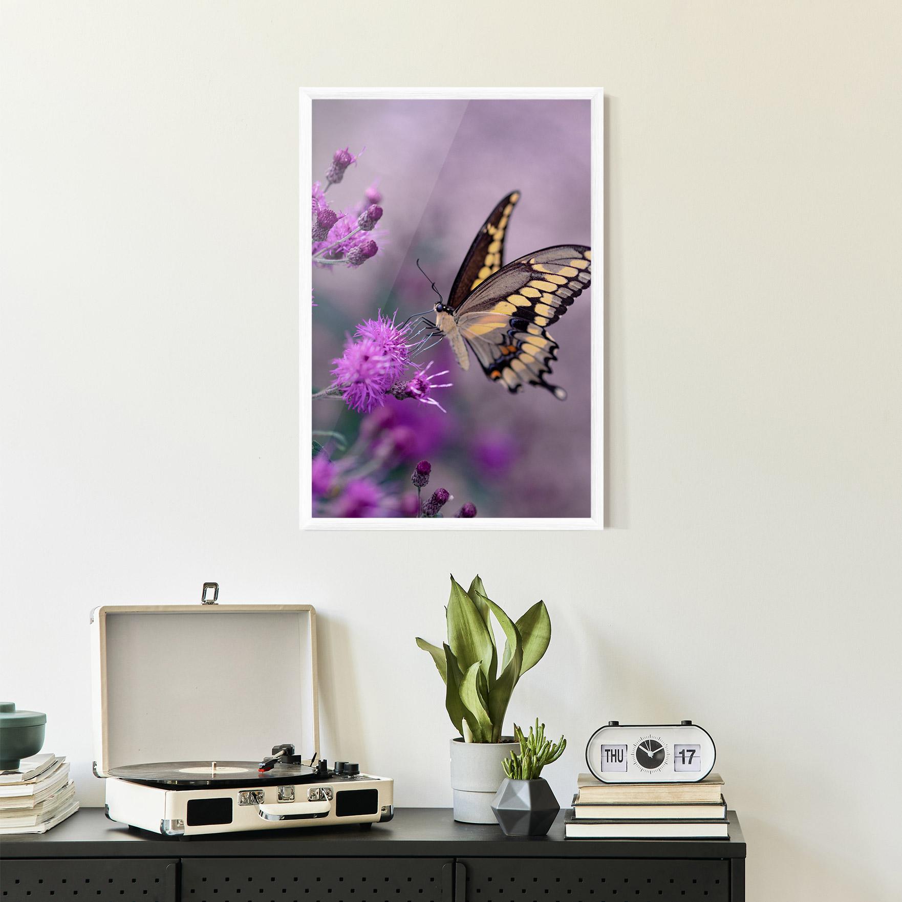 Gerahmte Poster Cream Black Butterfly mockup 2