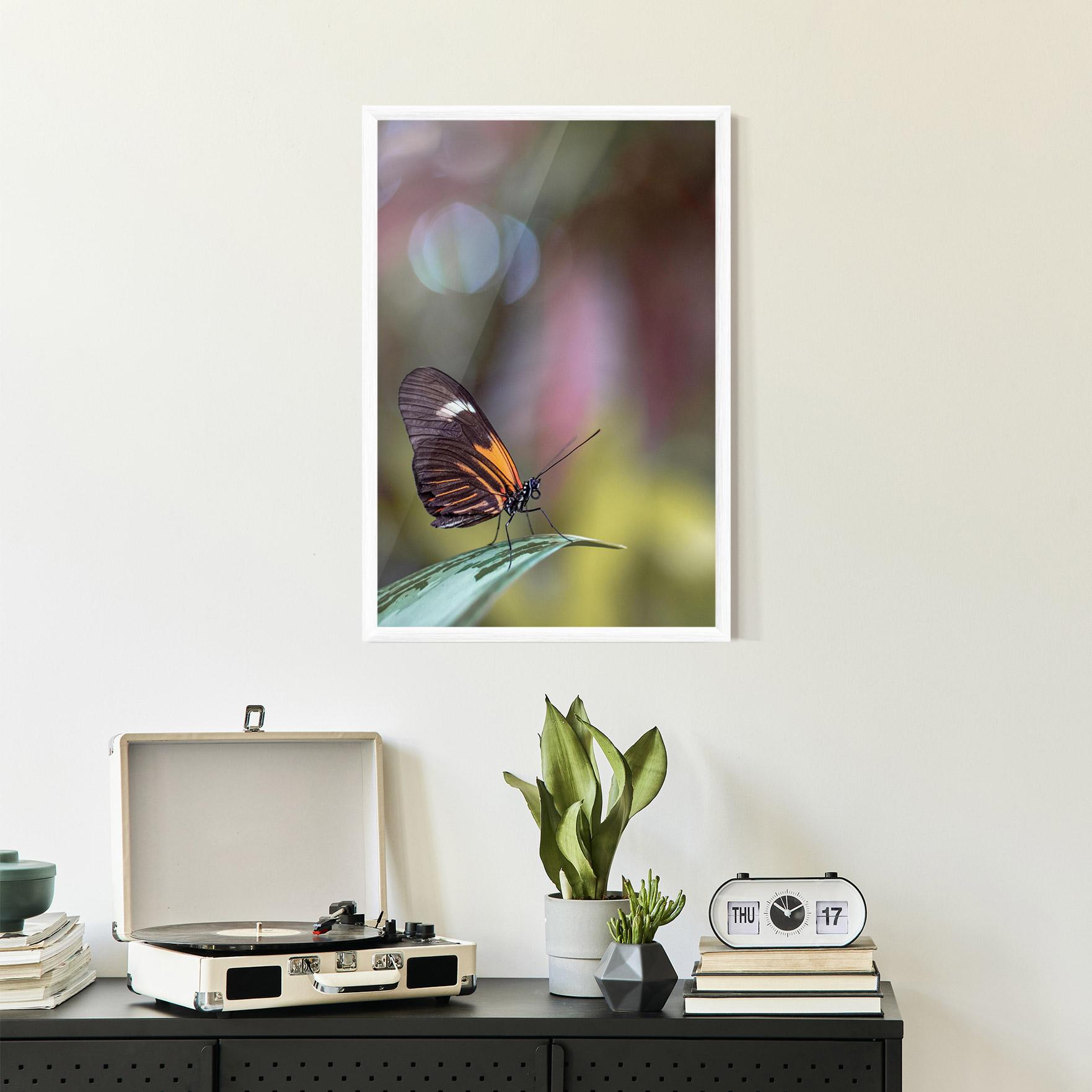 Gerahmte Poster Dark Purple Butterfly mockup 2