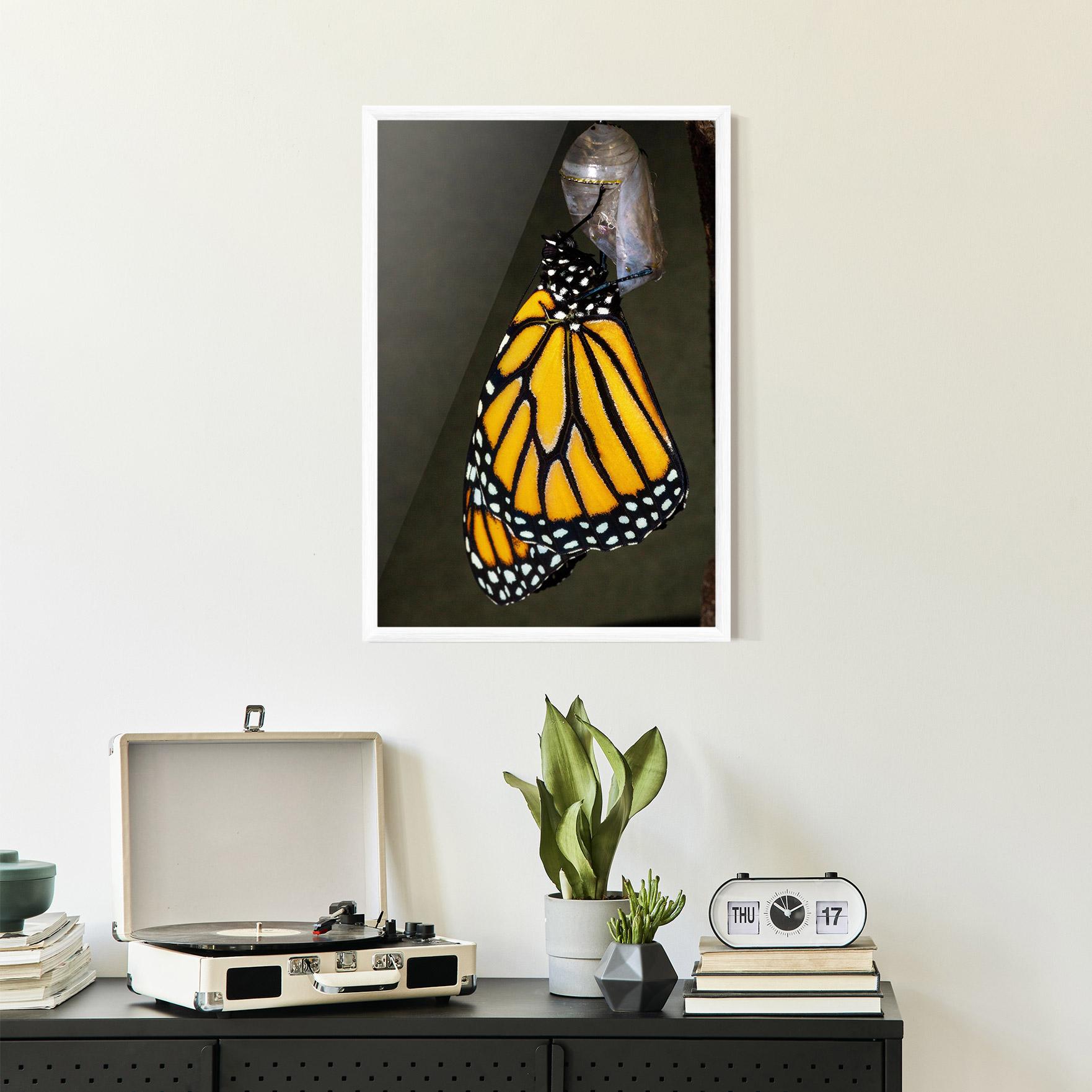 Gerahmte Poster Dark Yellow Butterfly mockup 2