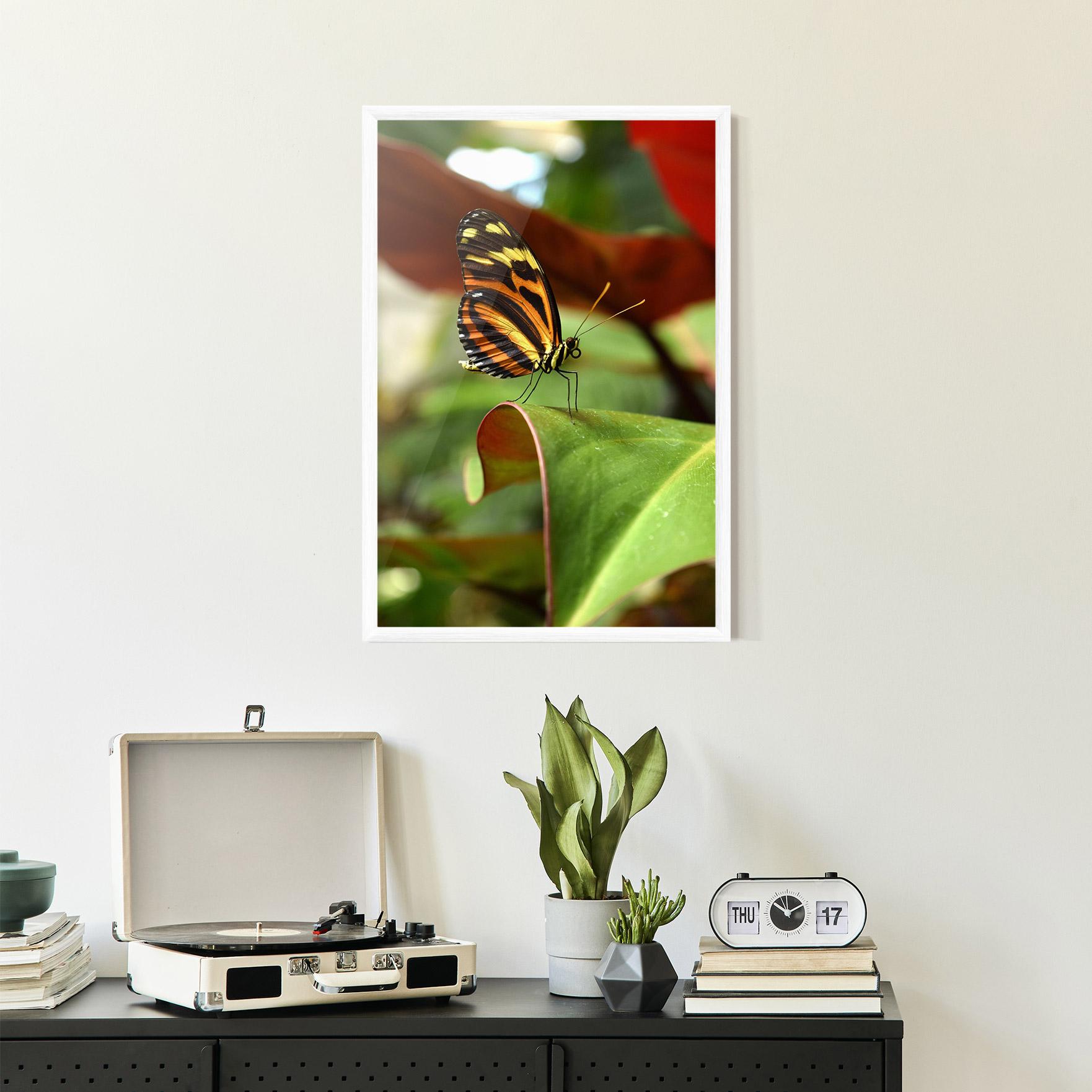 Gerahmte Poster Orange Yellow Butterfly mockup 2