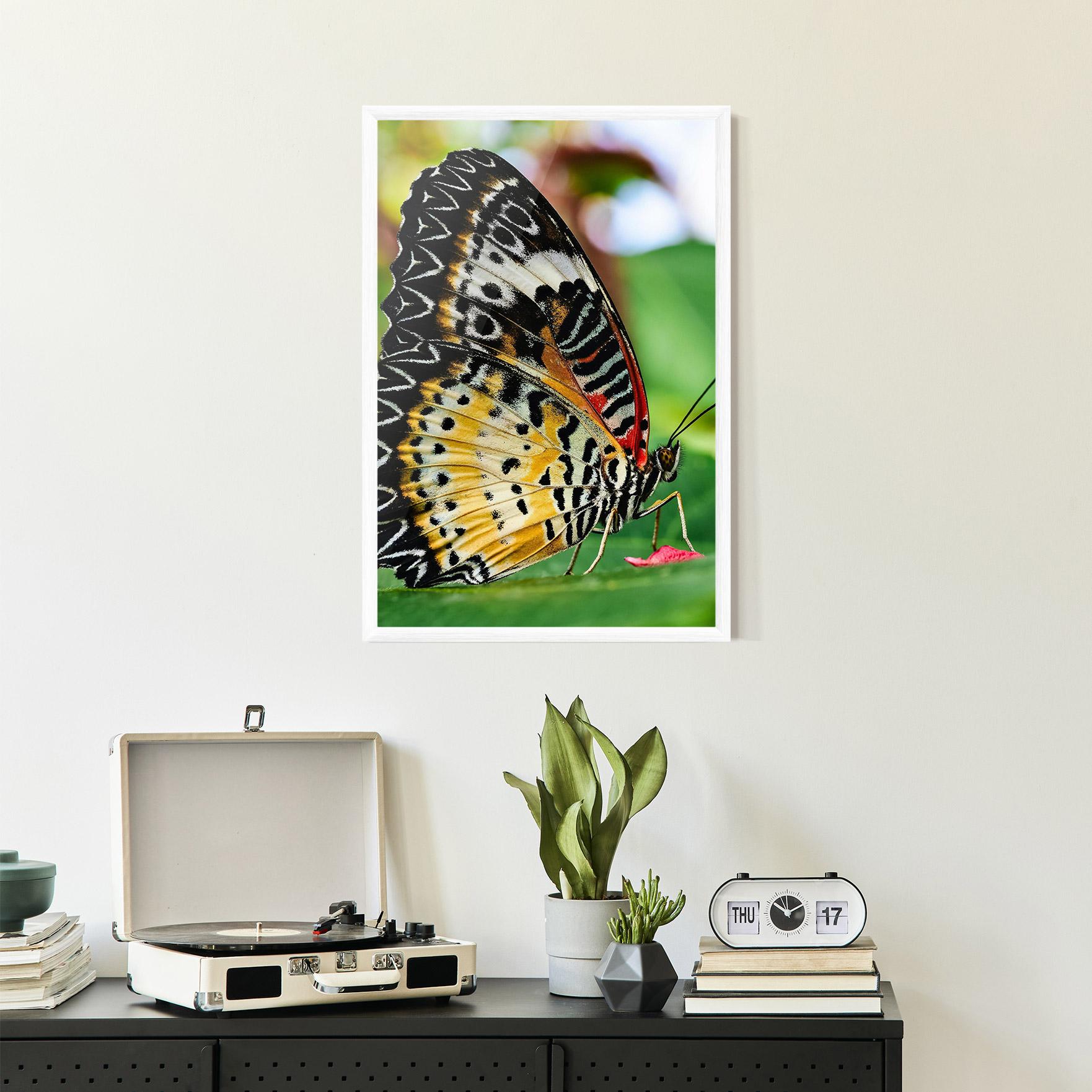 Gerahmte Poster Pretty Colorful Butterfly mockup 2