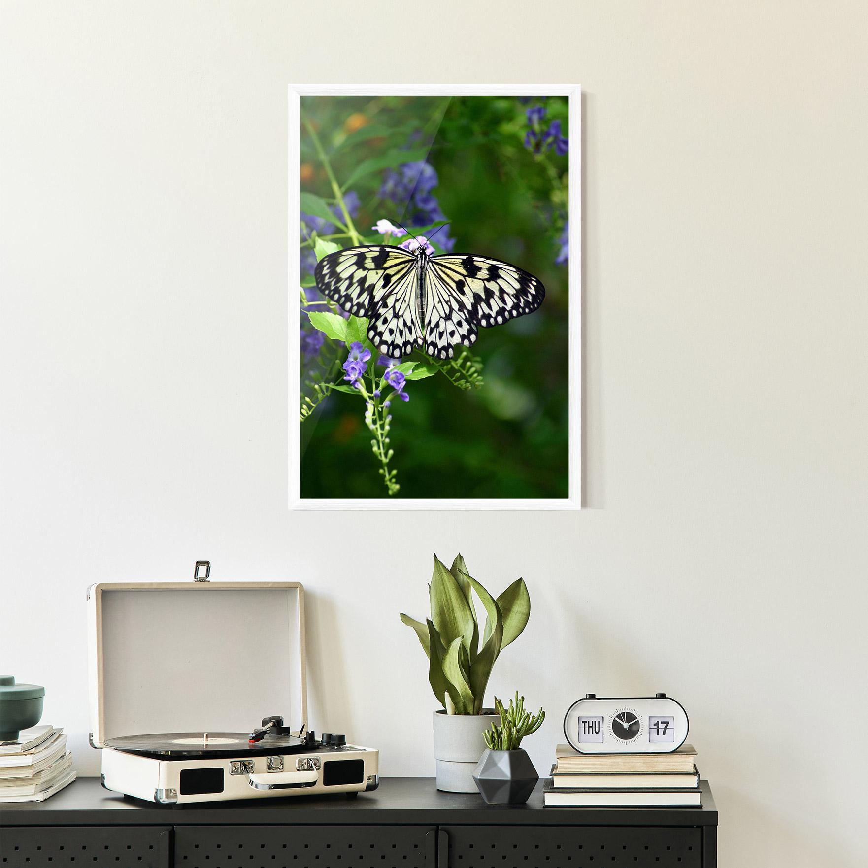 Gerahmte Poster Pretty White Butterfly mockup 2
