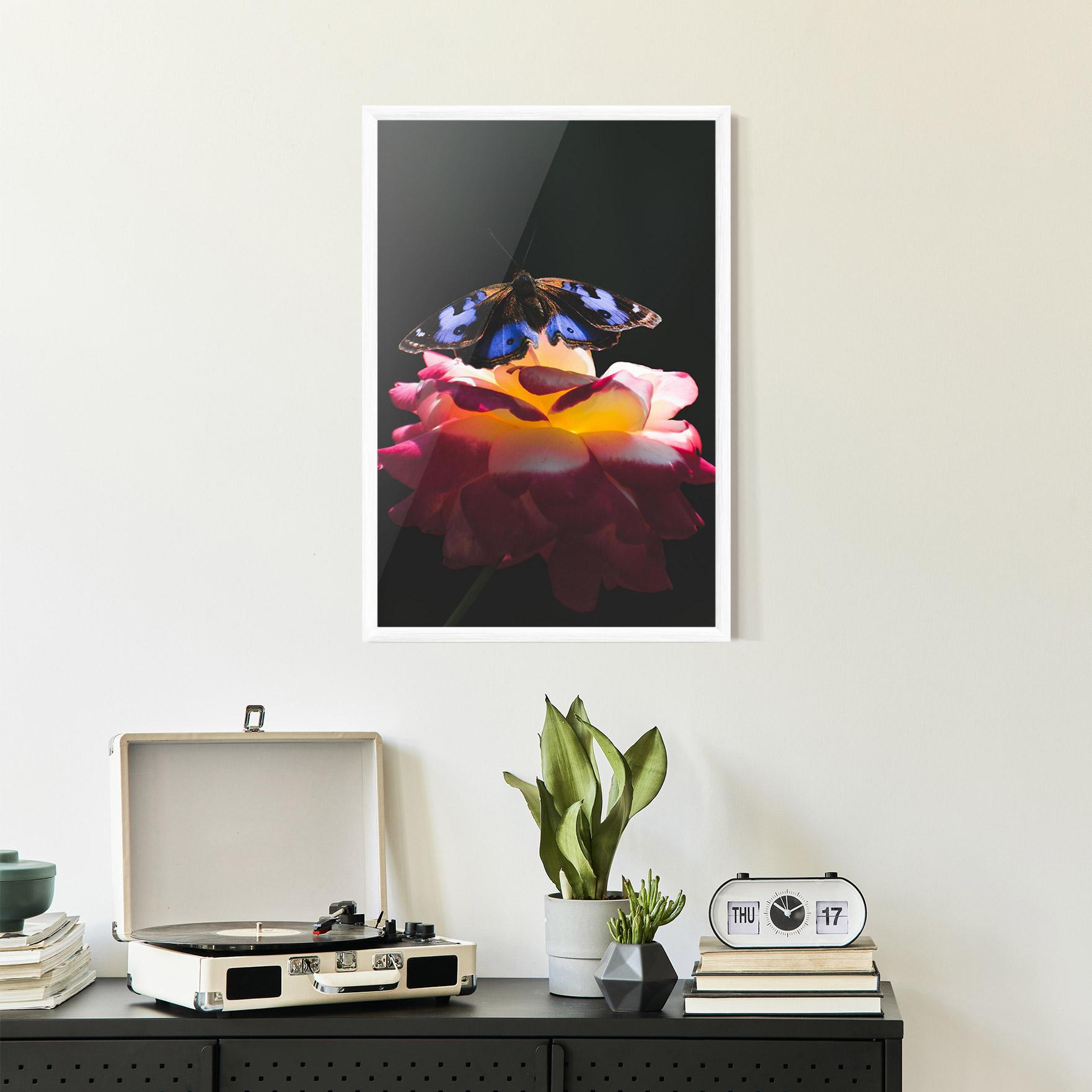 Gerahmte Poster Rose Butterfly mockup 2