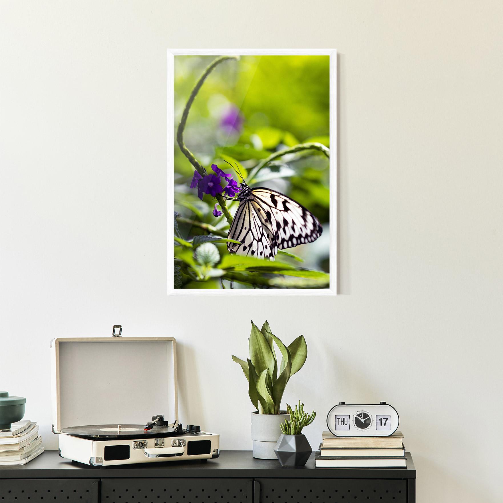 Gerahmte Poster White Black Butterfly mockup 2