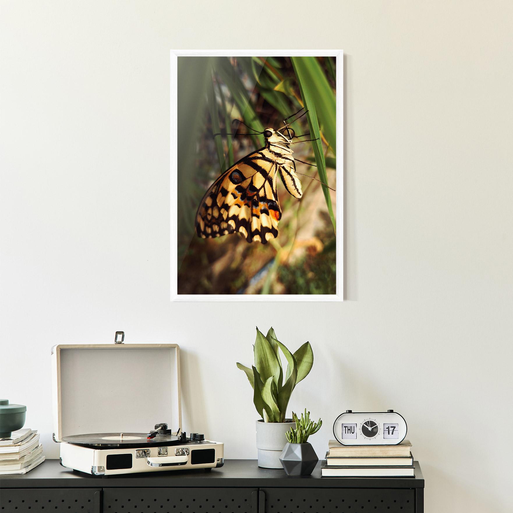 Gerahmte Poster Wild Brown Butterfly mockup 2