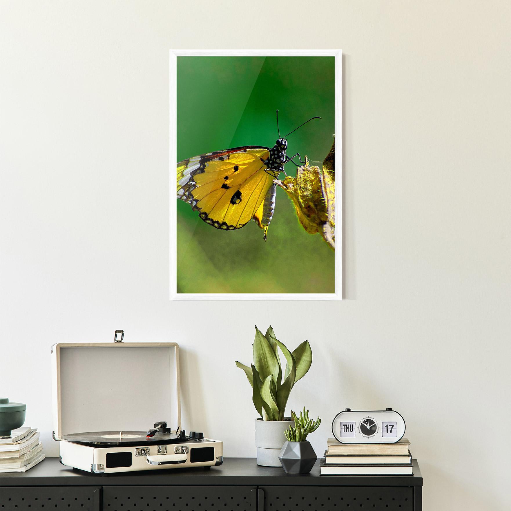 Gerahmte Poster Yellow White Butterfly mockup 2