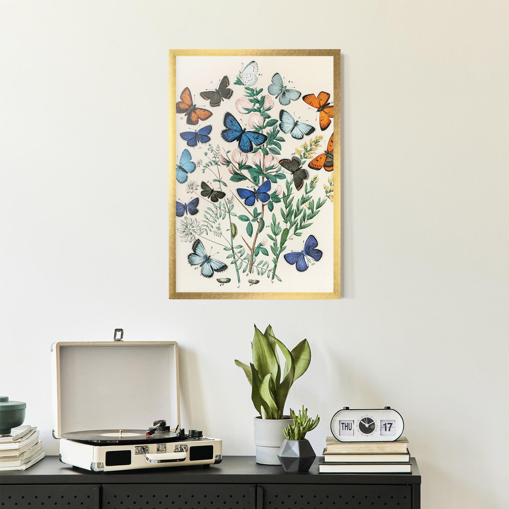 Gerahmte Poster Blue Orange Butterflies mockup 2