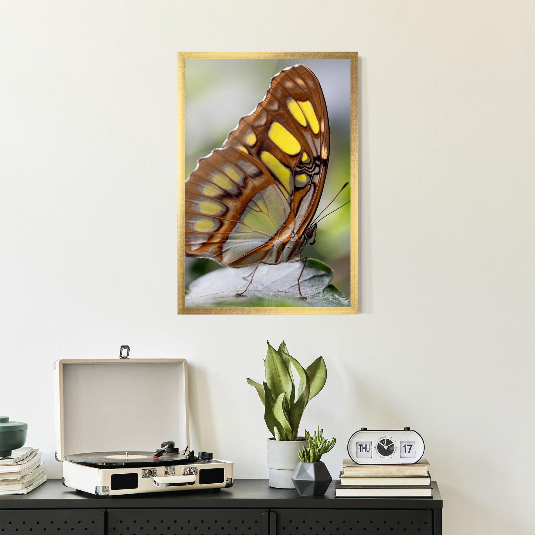 Gerahmte Poster Brown Yellow Butterfly mockup 2