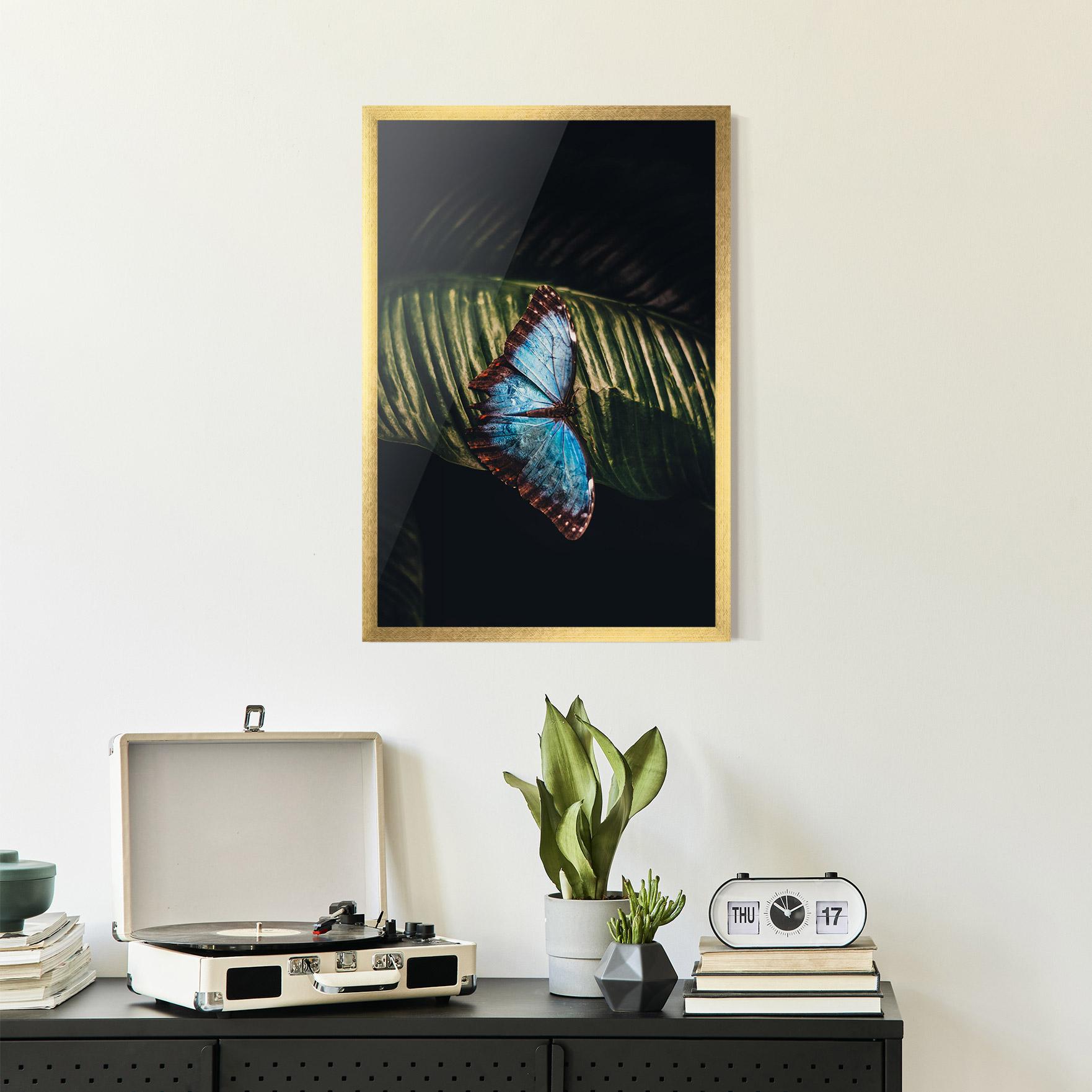 Gerahmte Poster Light Blue Butterfly mockup 2