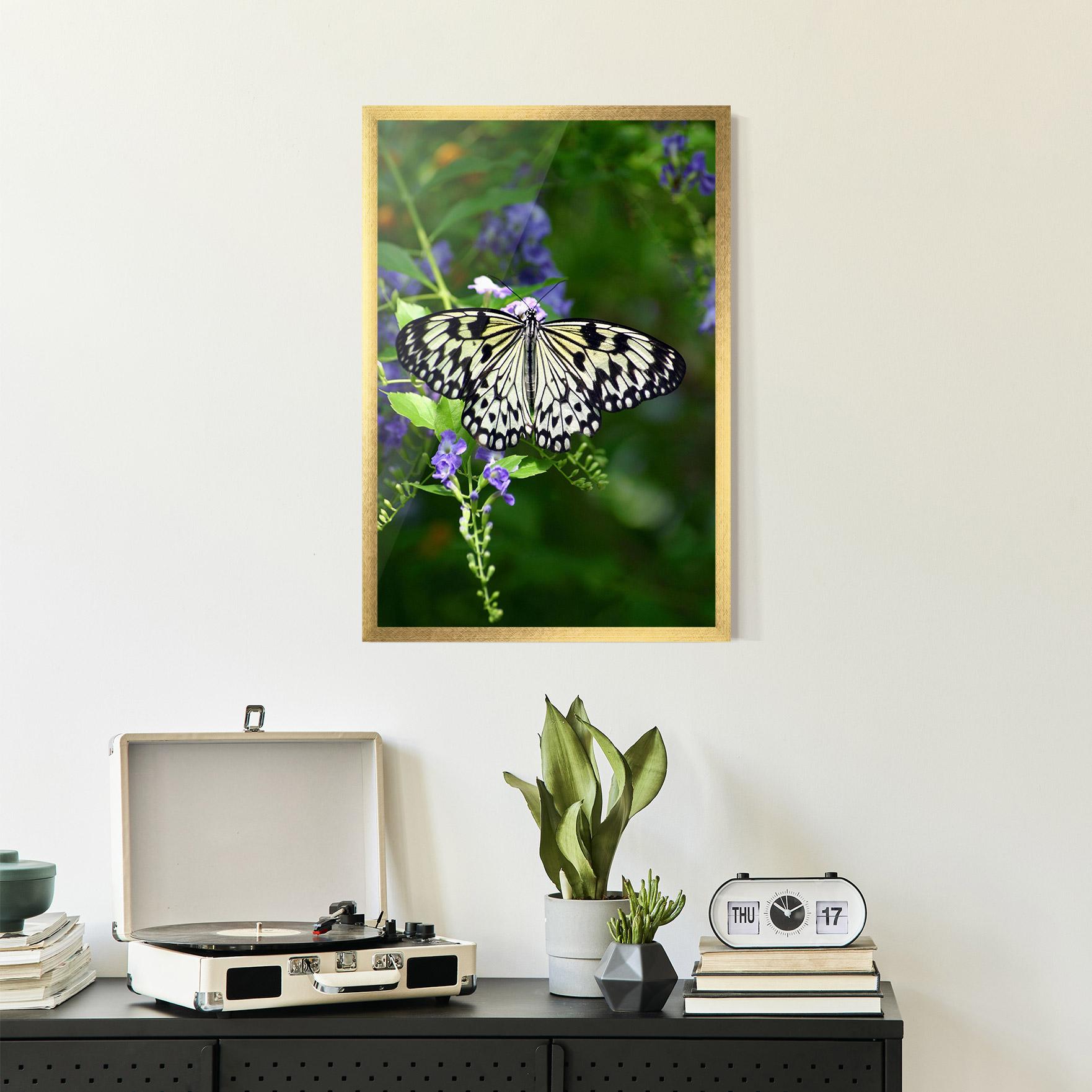 Gerahmte Poster Pretty White Butterfly mockup 2