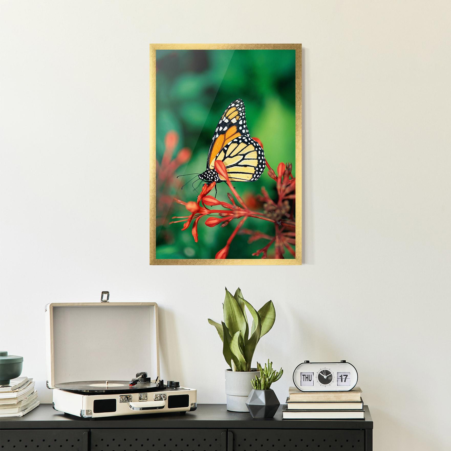 Gerahmte Poster Small Orange Butterfly mockup 2