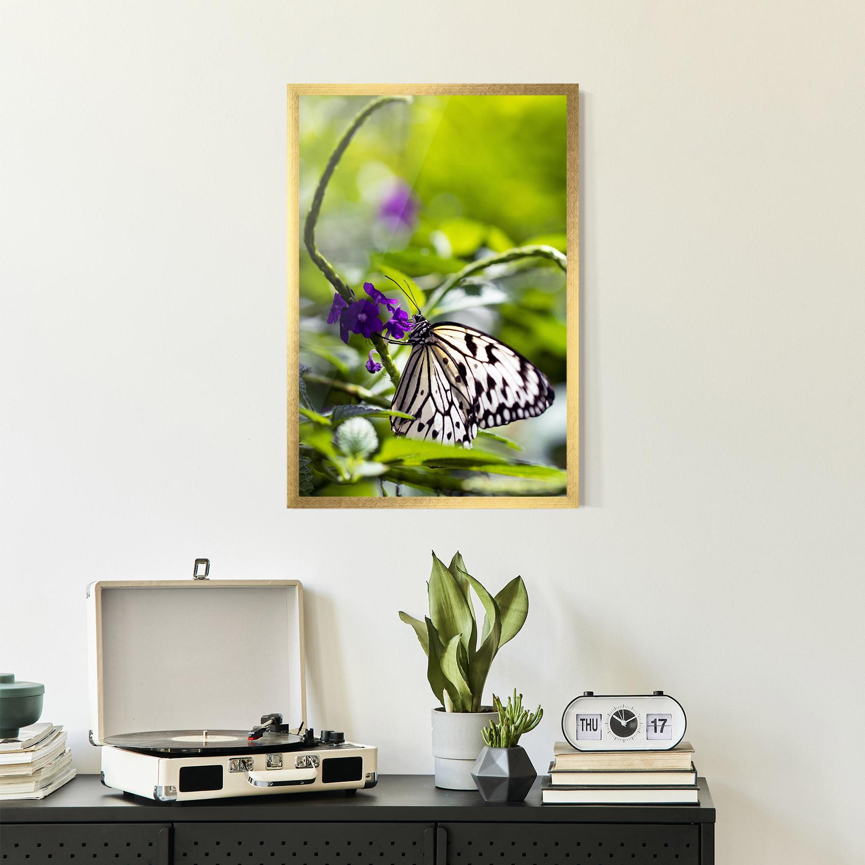 Gerahmte Poster White Black Butterfly mockup 2